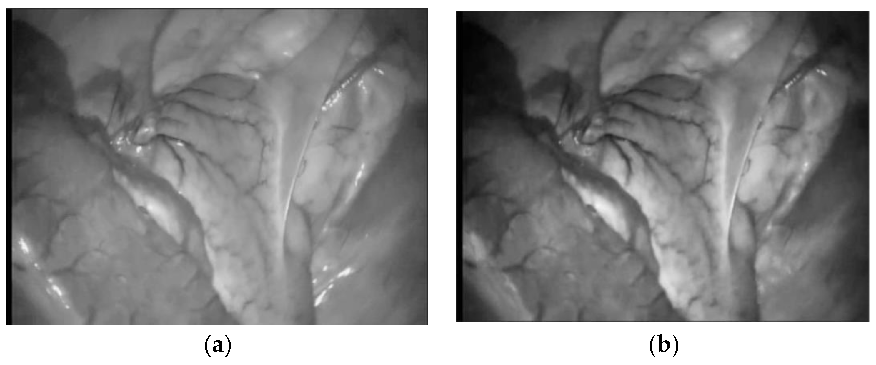 Symmetry 14 00185 g003