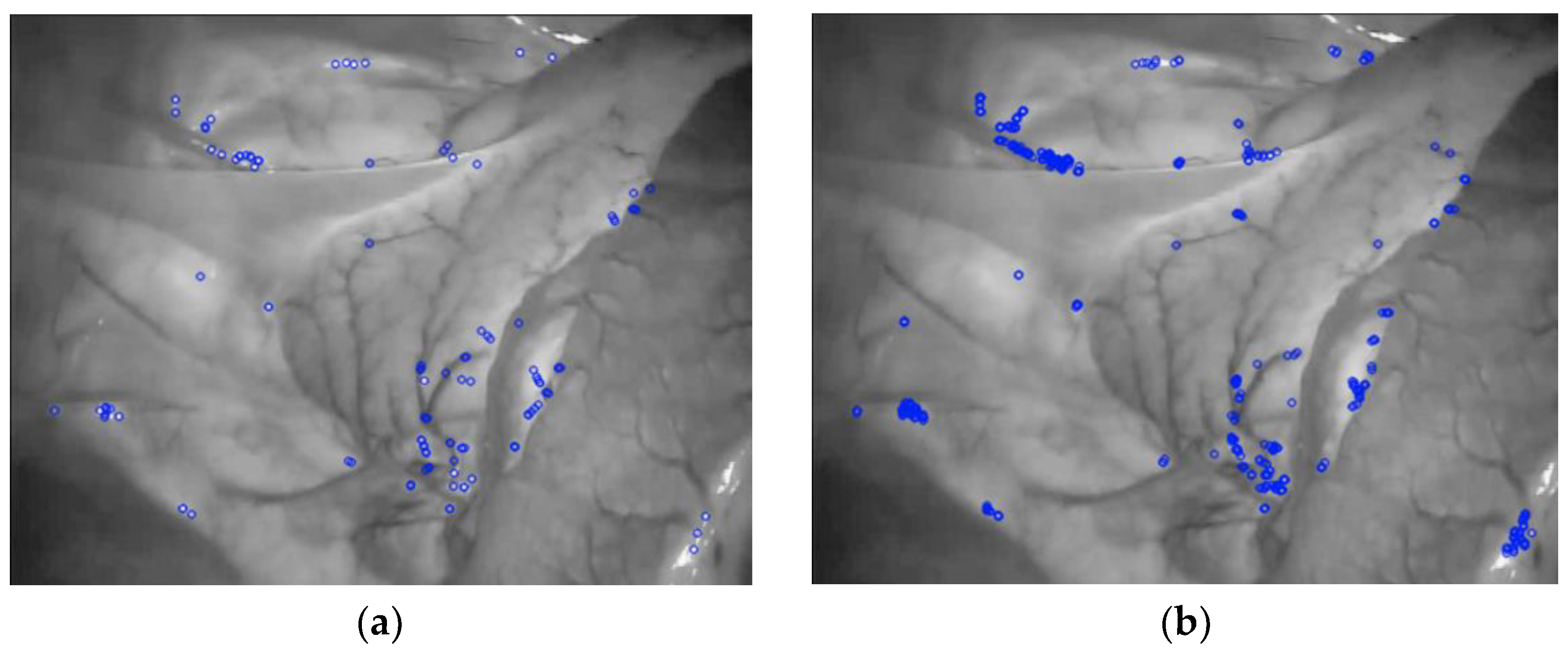 Symmetry 14 00185 g004