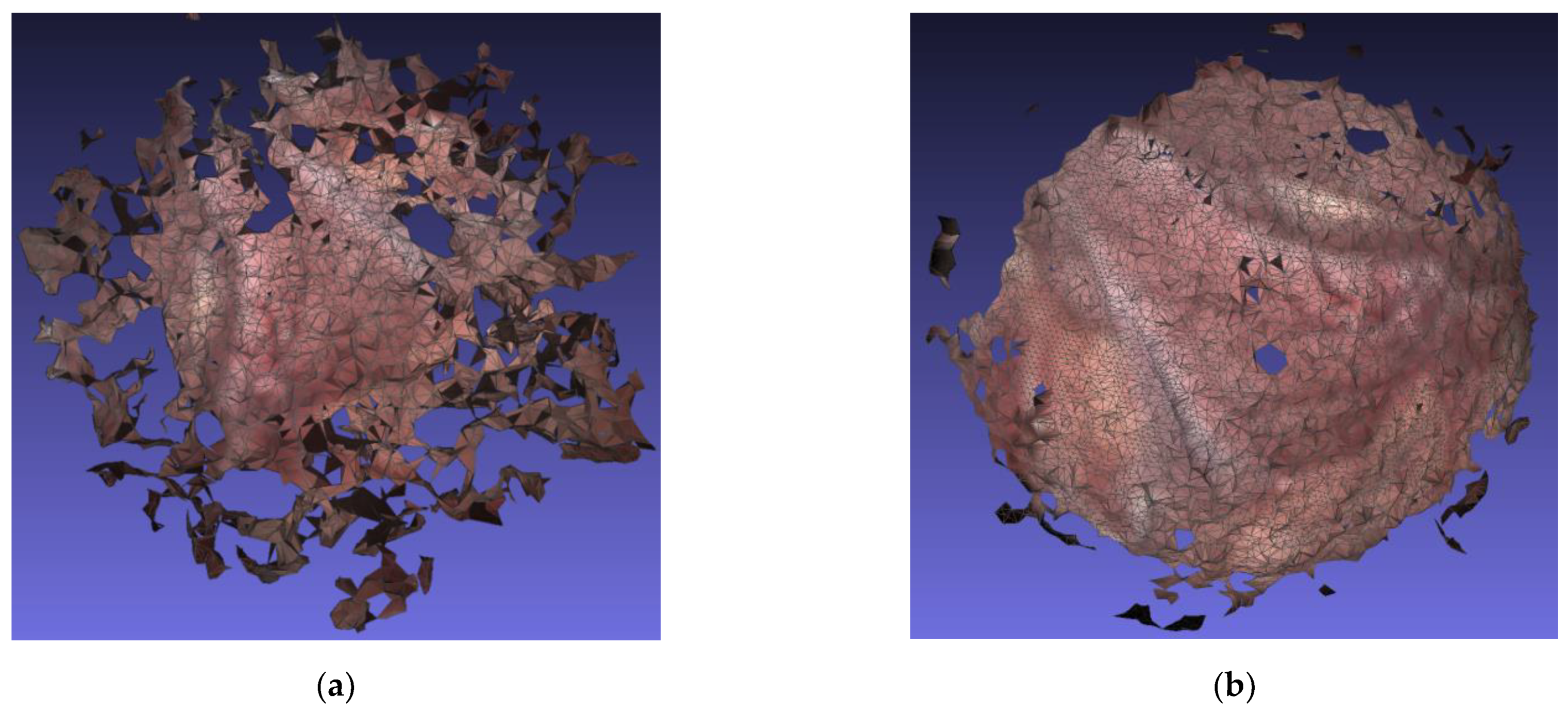 Symmetry 14 00185 g011