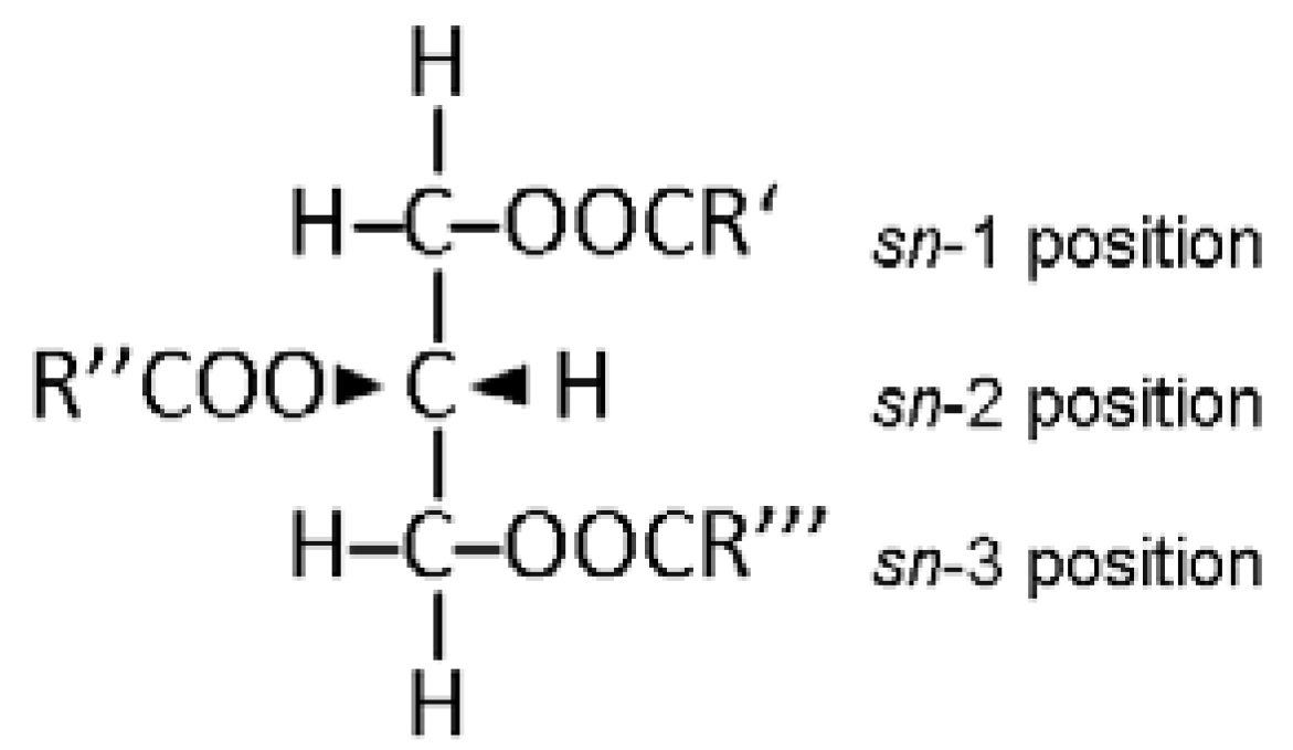 Symmetry 14 00247 g001