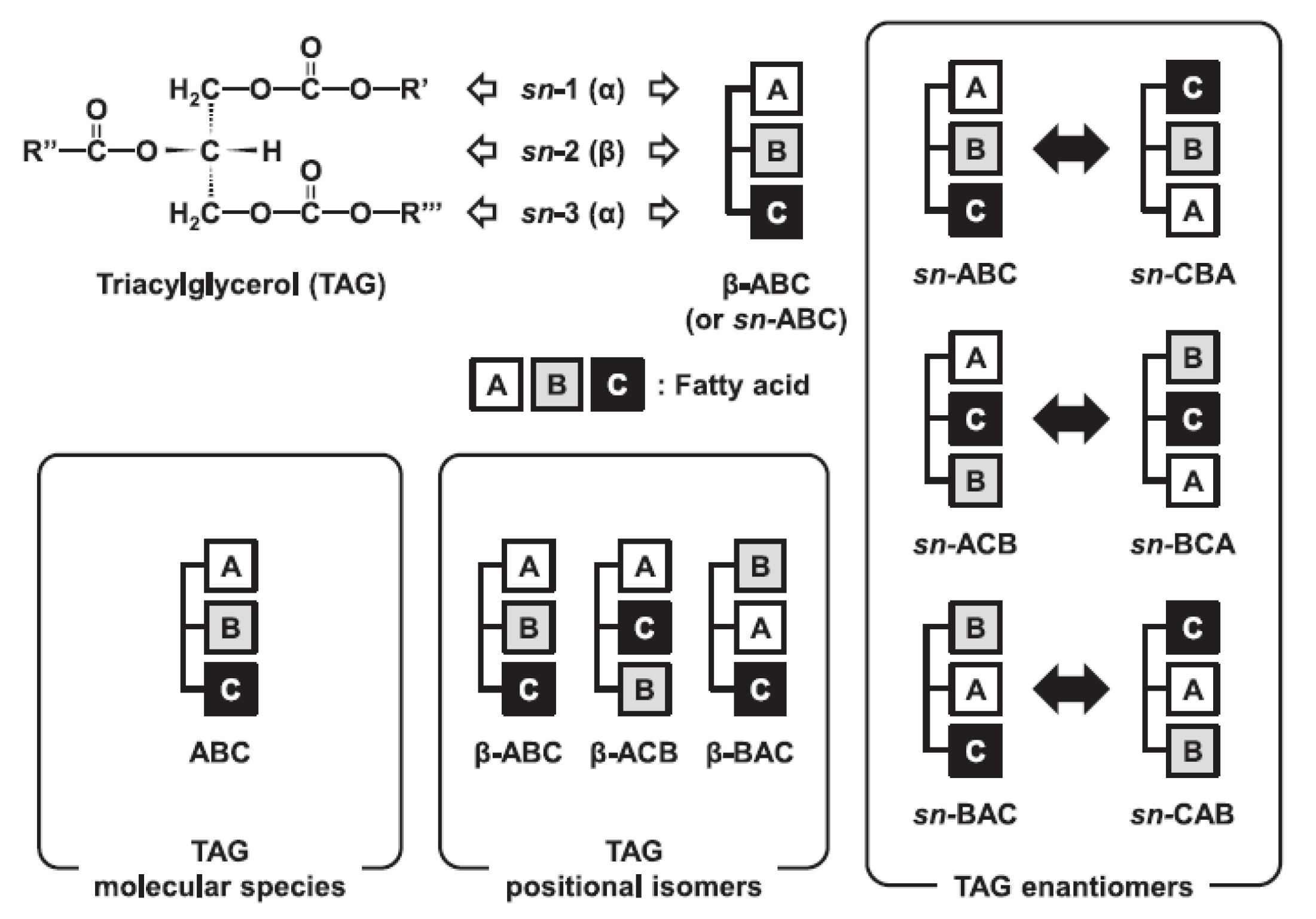 Symmetry 14 00247 g002