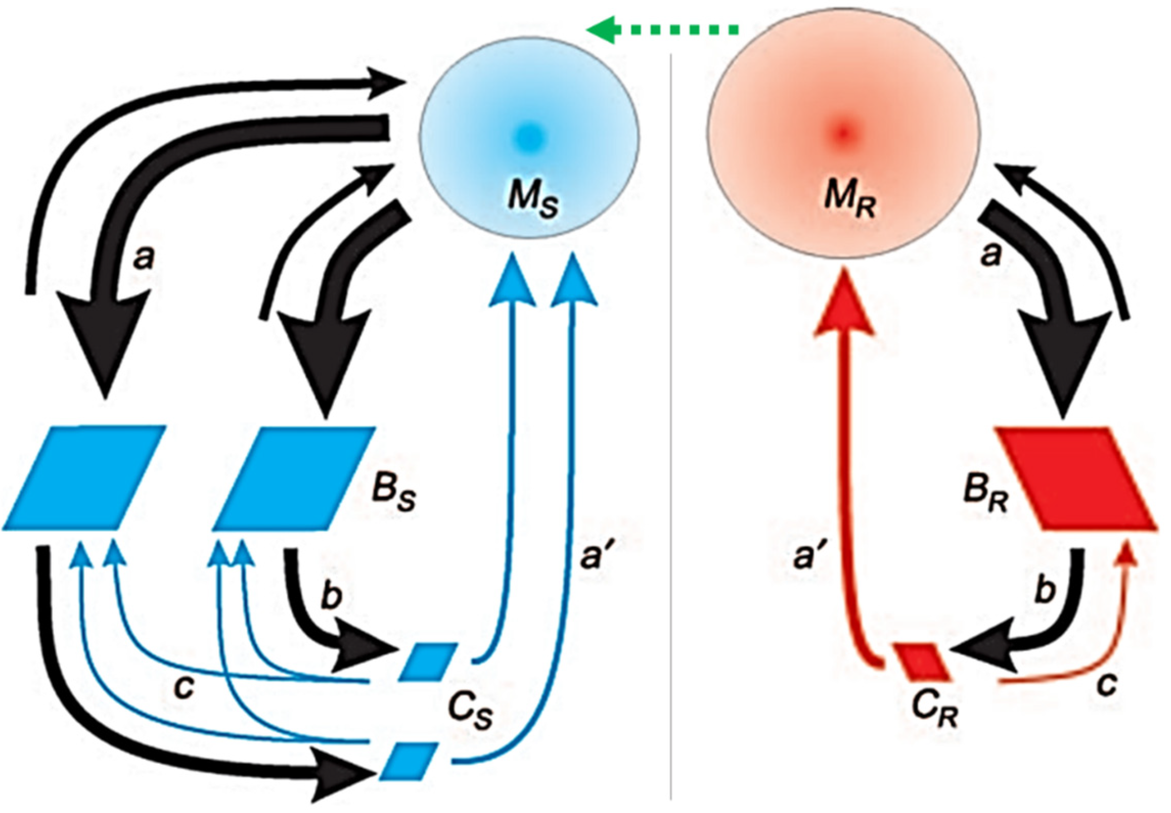 Symmetry 14 00292 g008 Symmetry 14 00292 g008