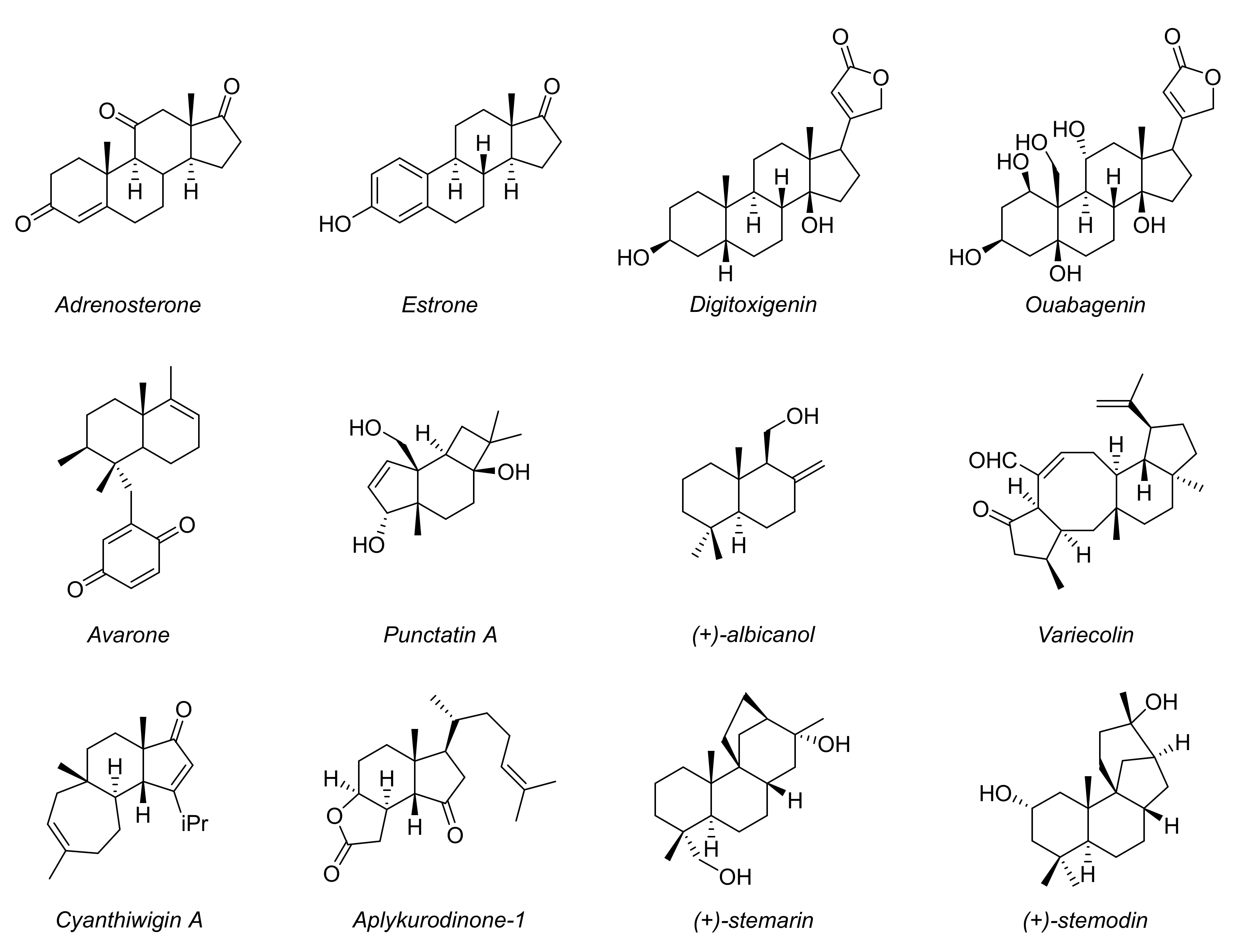 Symmetry 14 00355 g002