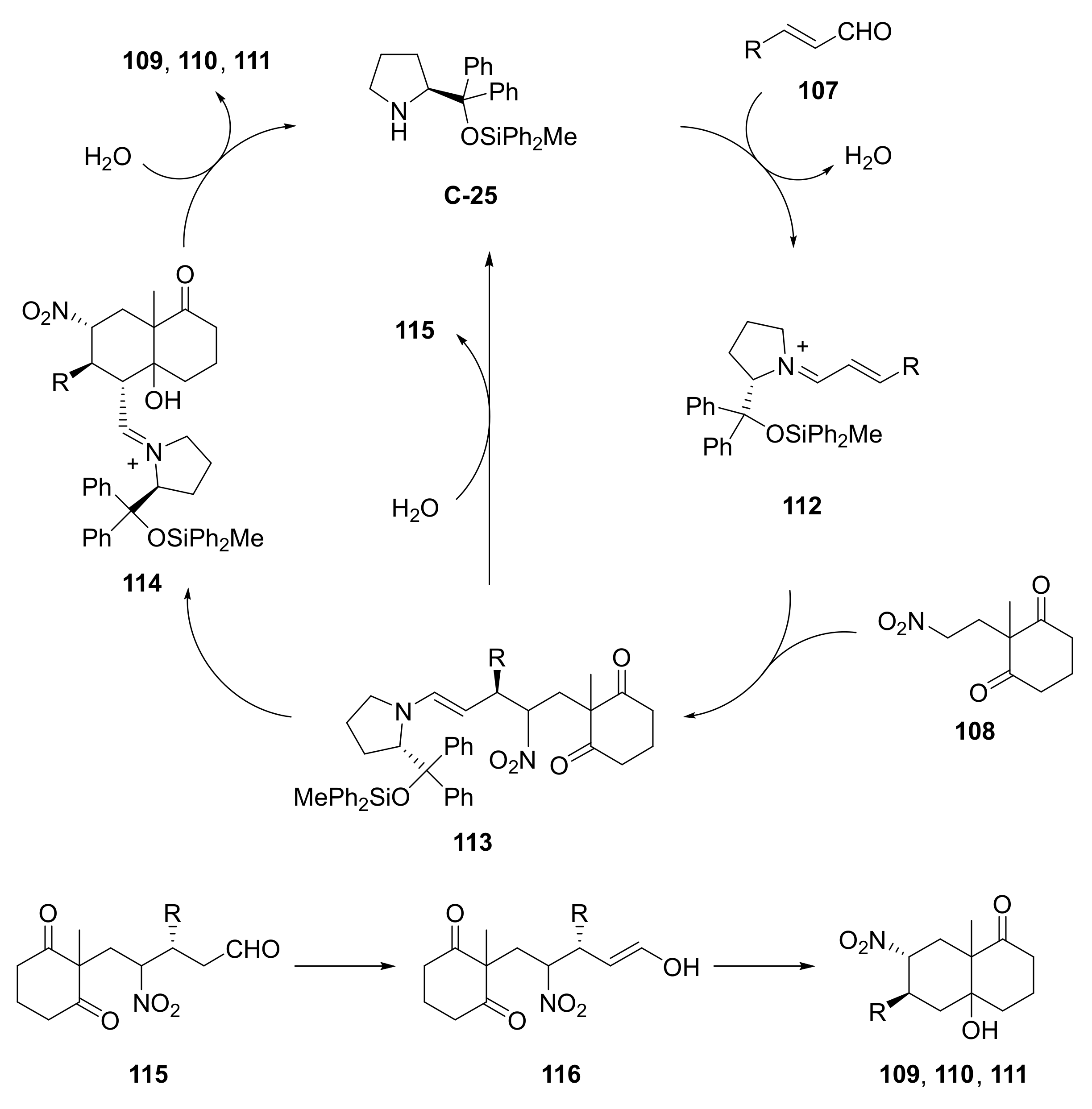 Symmetry 14 00355 sch011