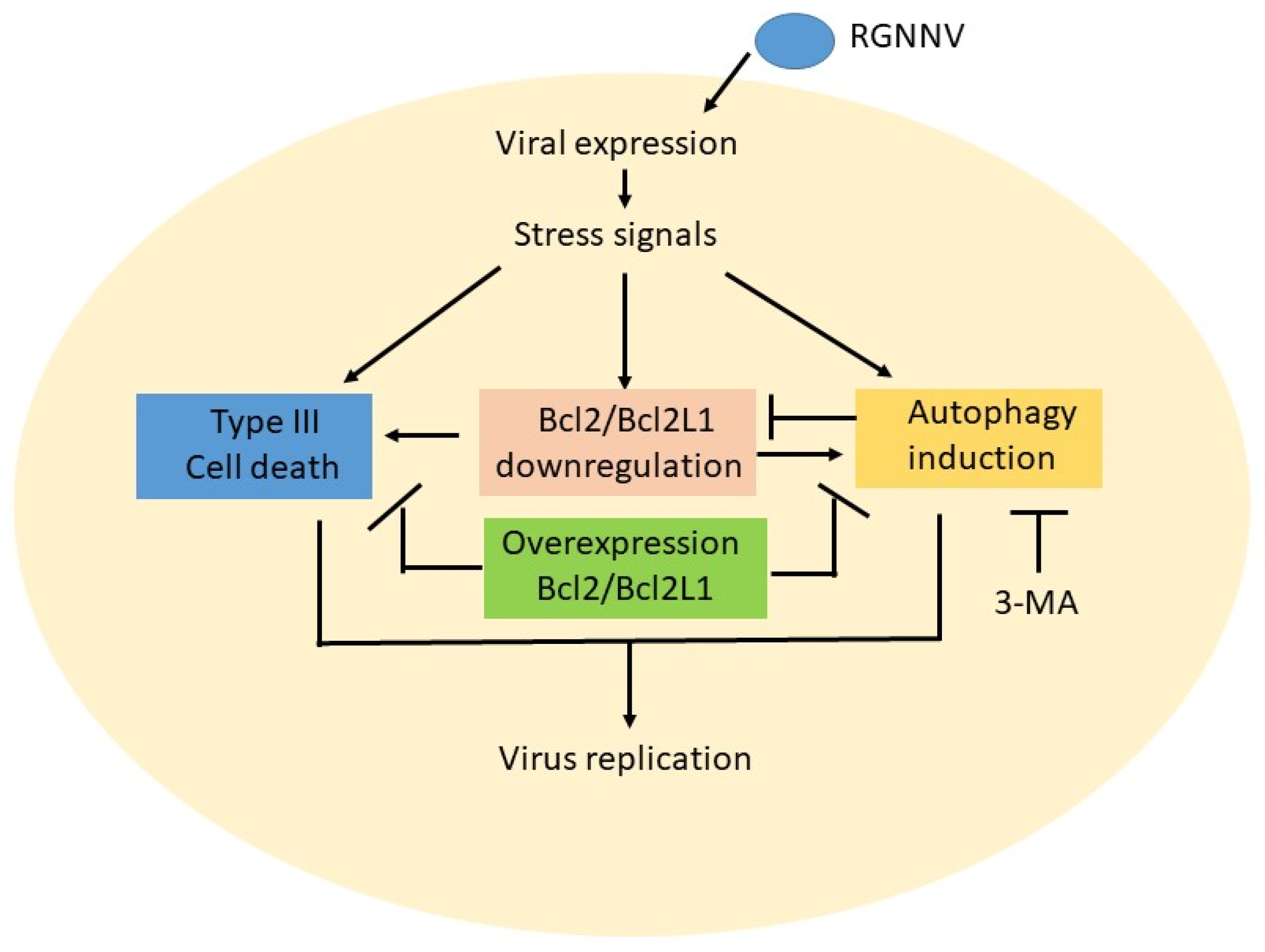 Symmetry 14 00360 g006