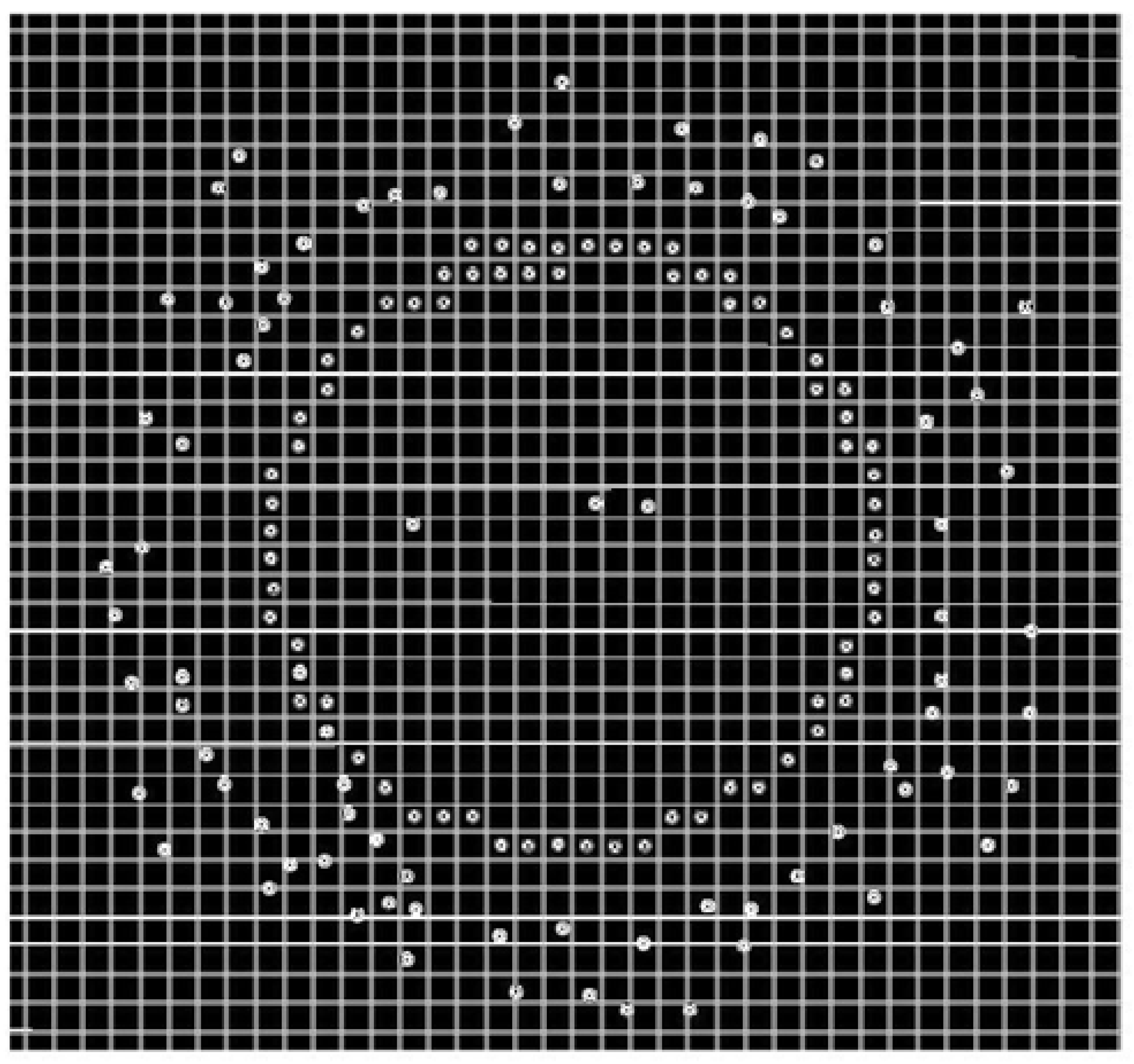 Symmetry 14 00377 g007