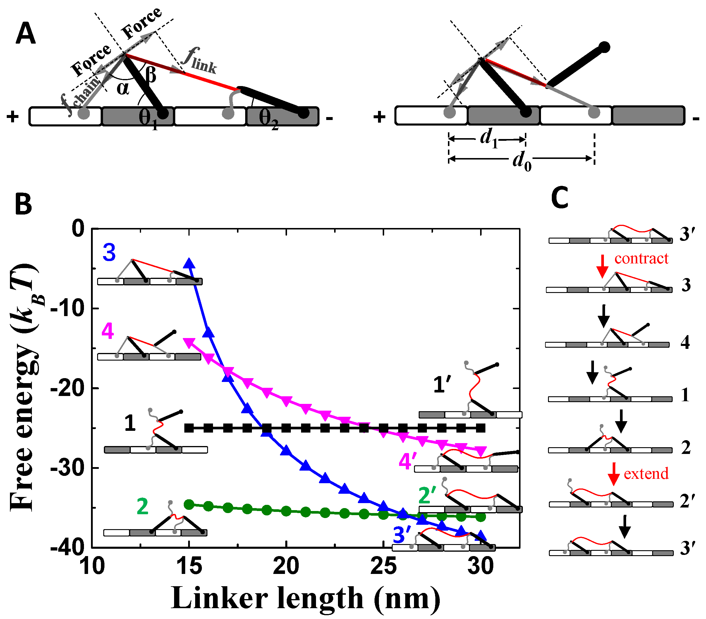 Symmetry 14 00416 g001