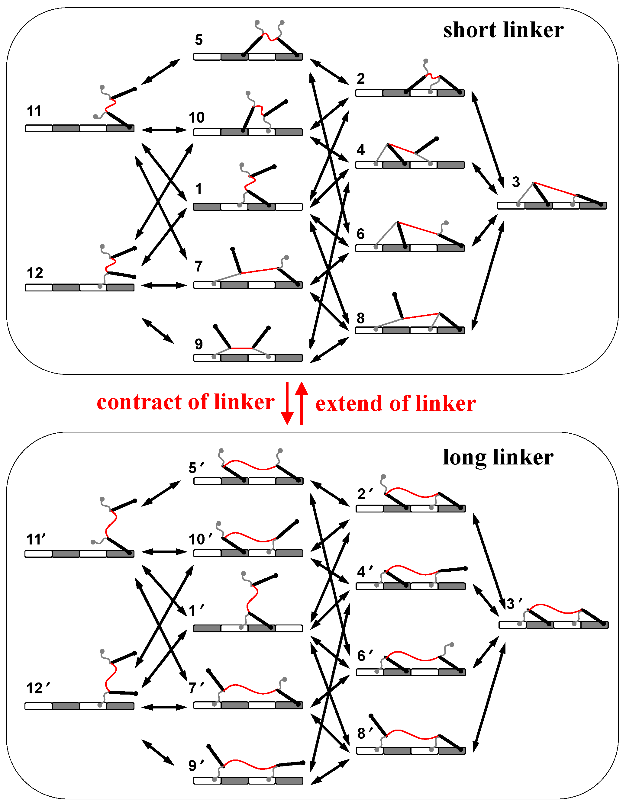Symmetry 14 00416 g002