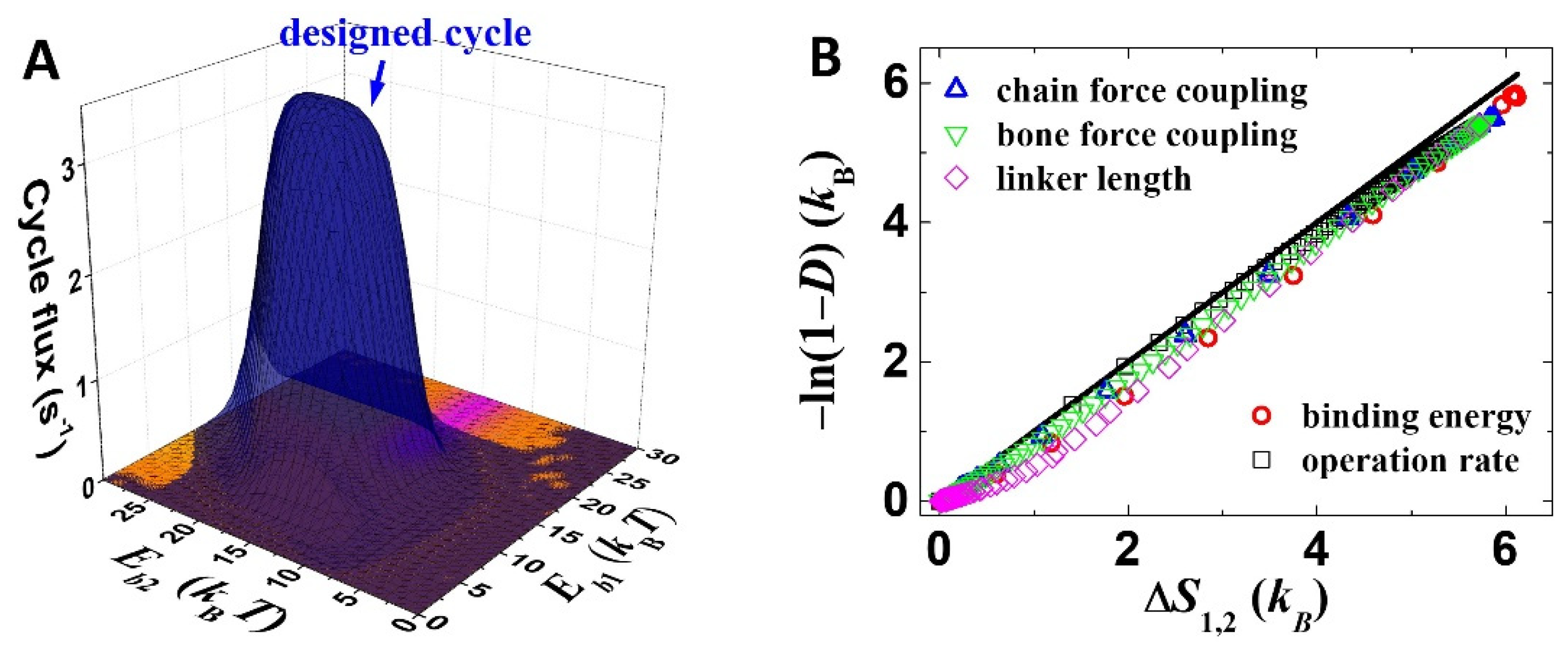 Symmetry 14 00416 g004