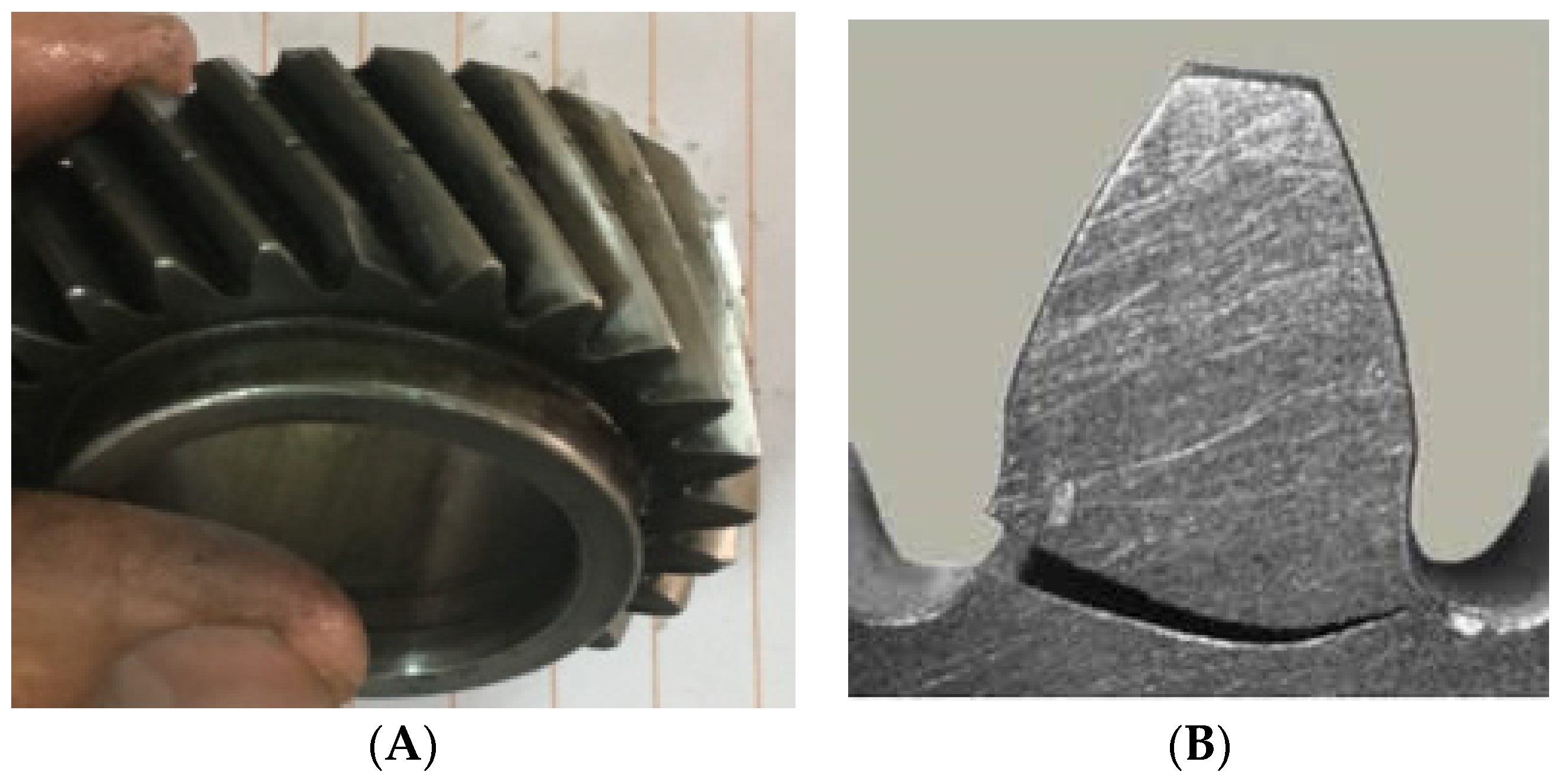 Symmetry 14 00417 g005