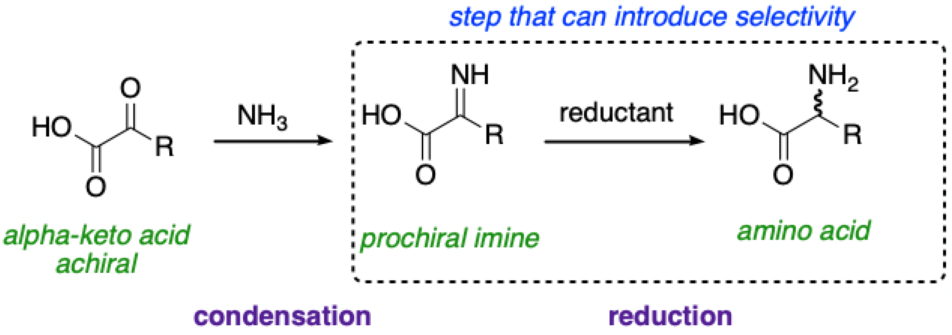 Symmetry 14 00460 g005