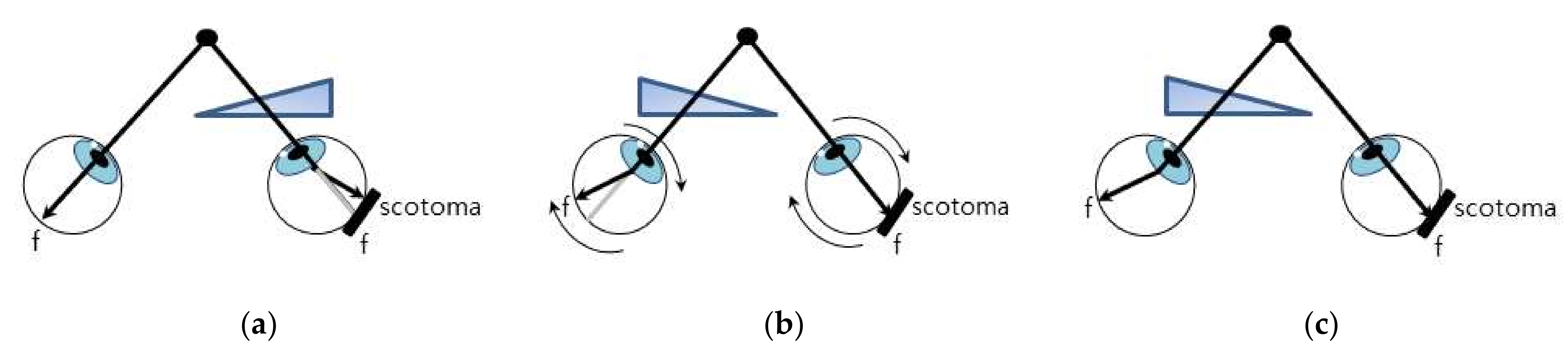 Symmetry 14 00499 g003