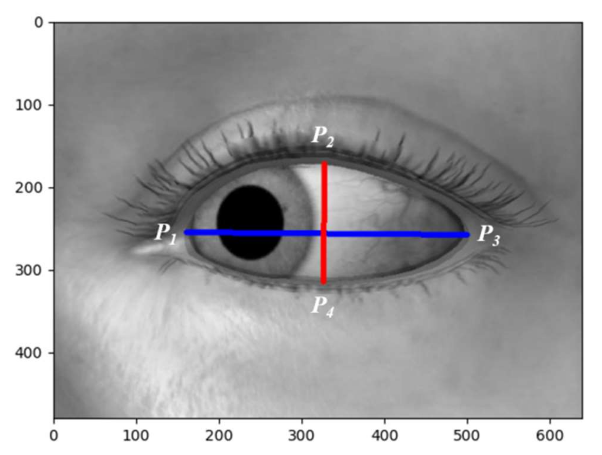 Symmetry 14 00499 g006