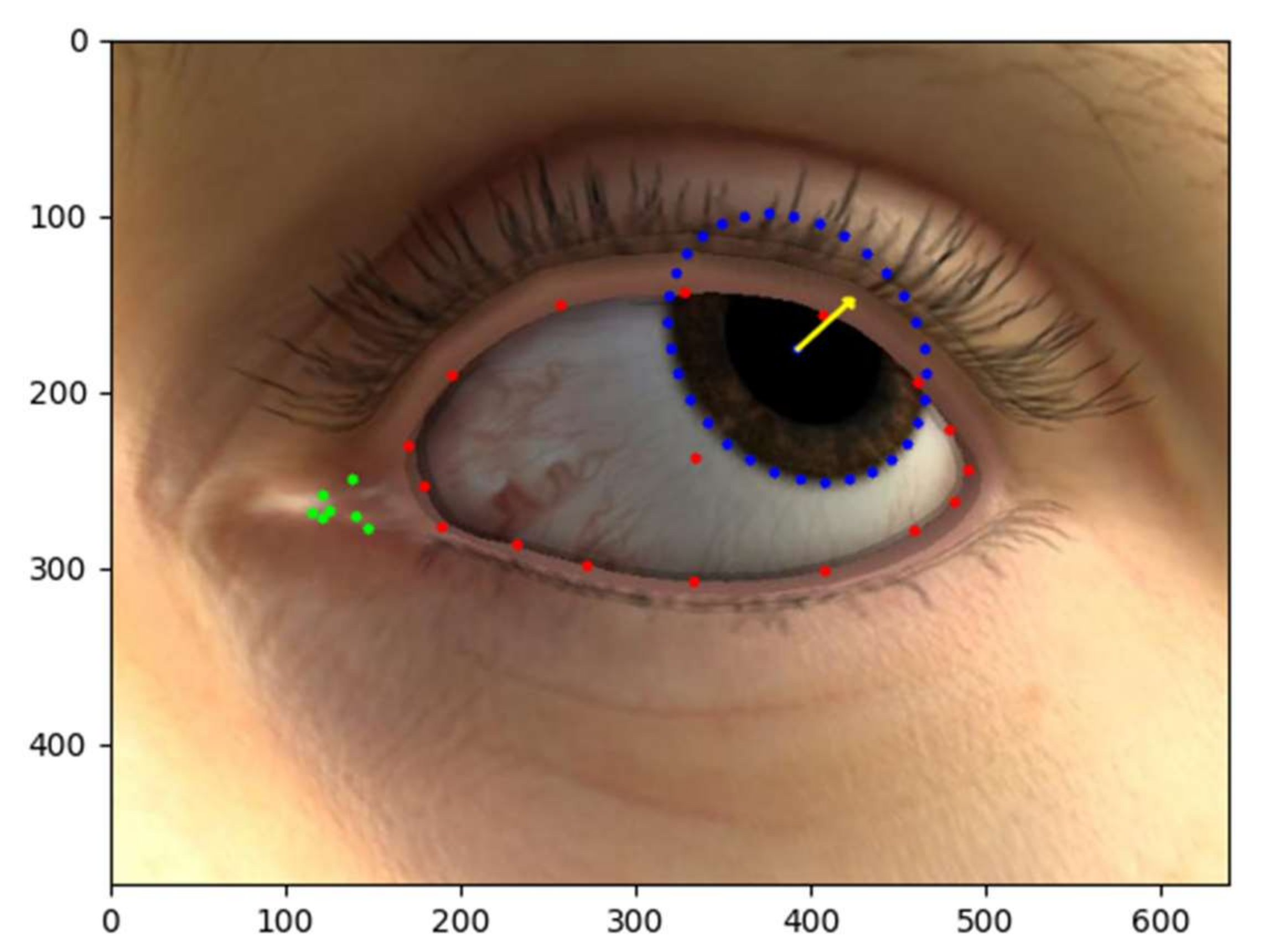 Symmetry 14 00499 g007