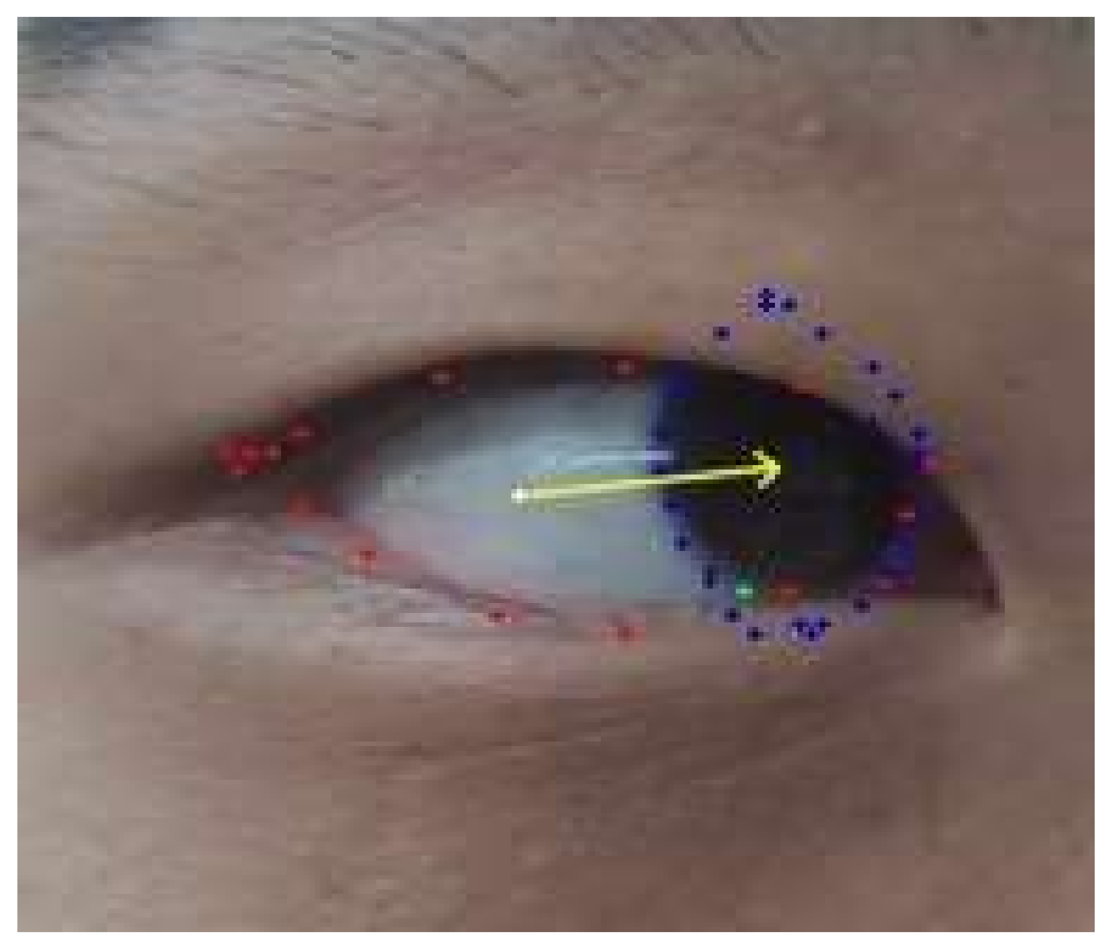 Symmetry 14 00499 g008