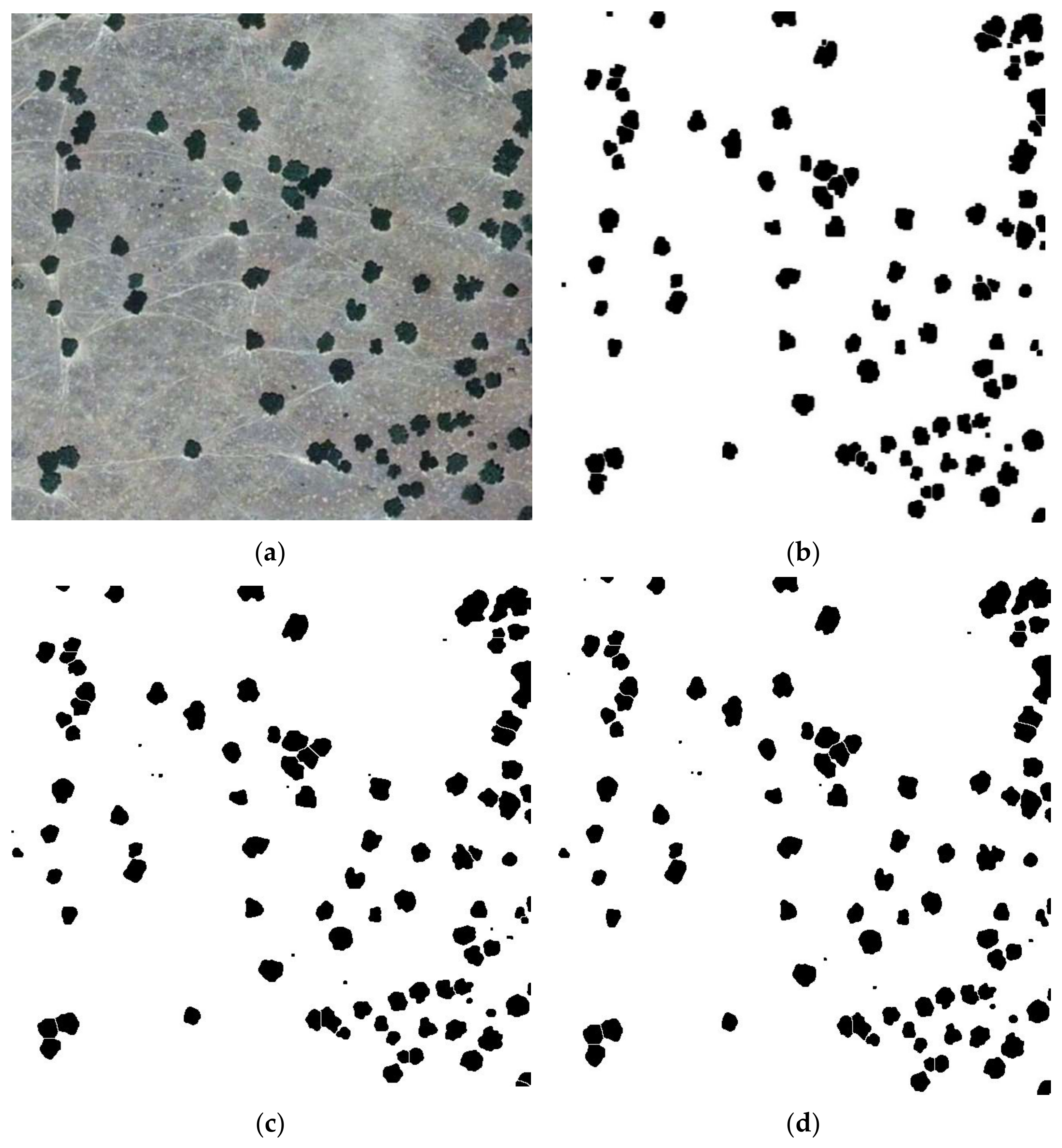 Symmetry 14 00532 g002