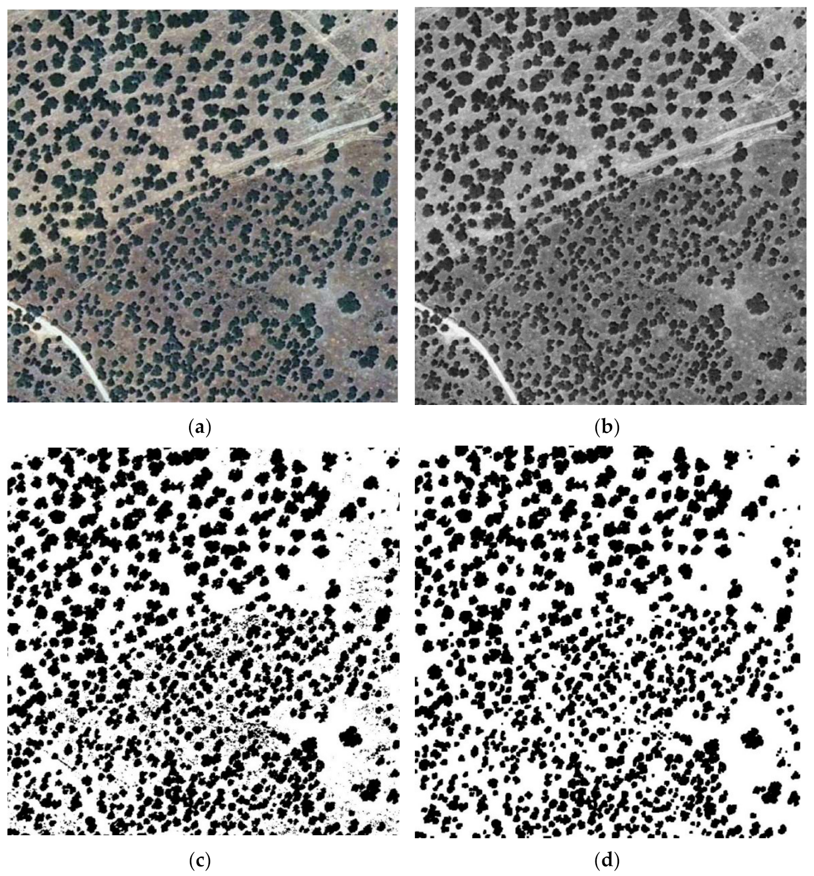 Symmetry 14 00532 g003a