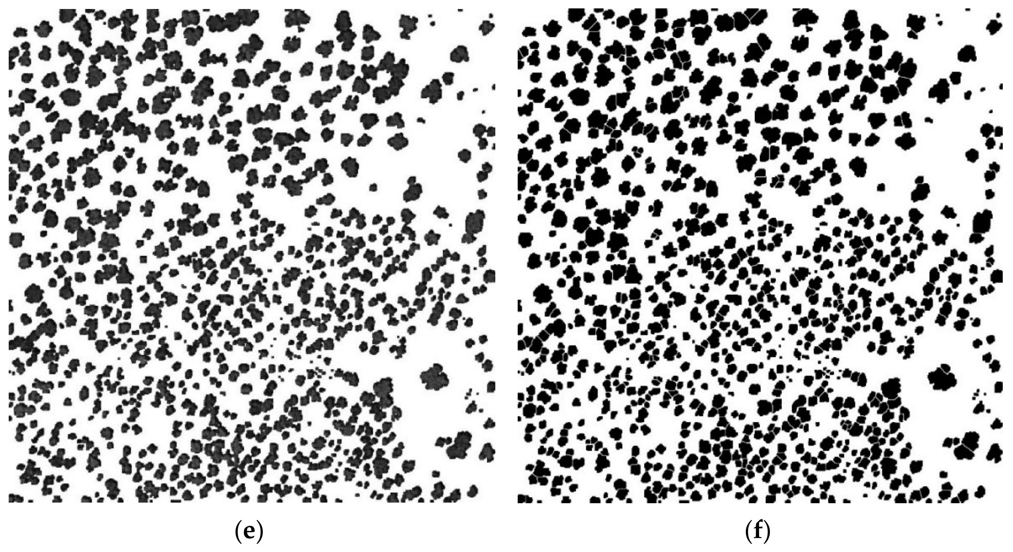 Symmetry 14 00532 g003b