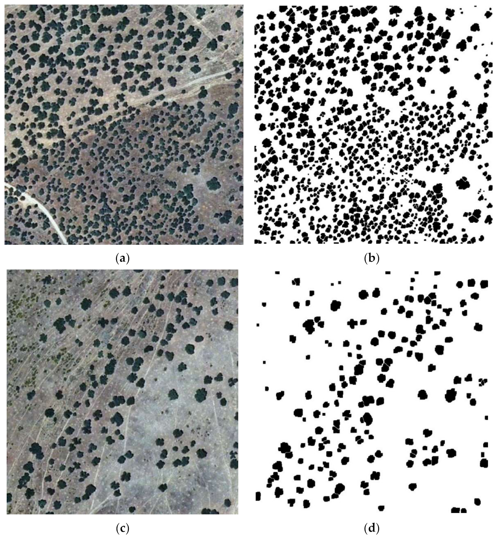 Symmetry 14 00532 g004a