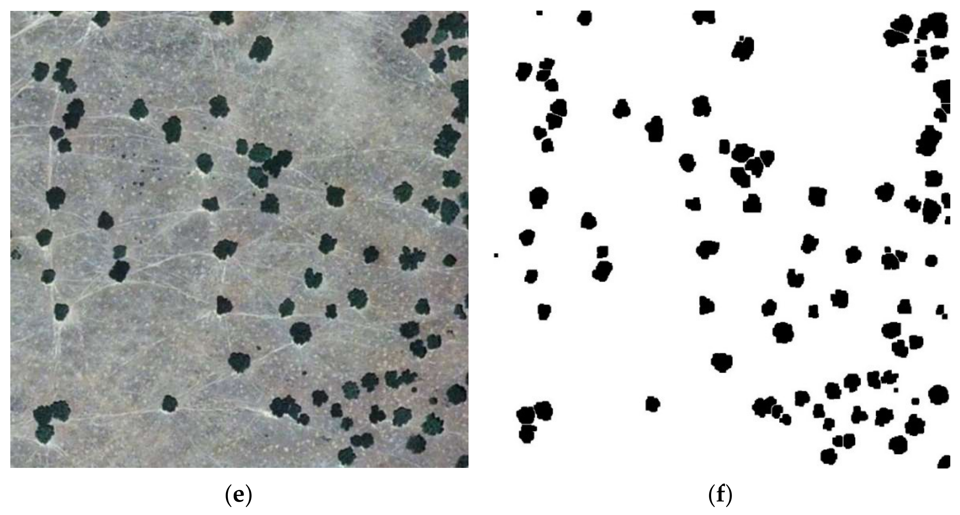 Symmetry 14 00532 g004b