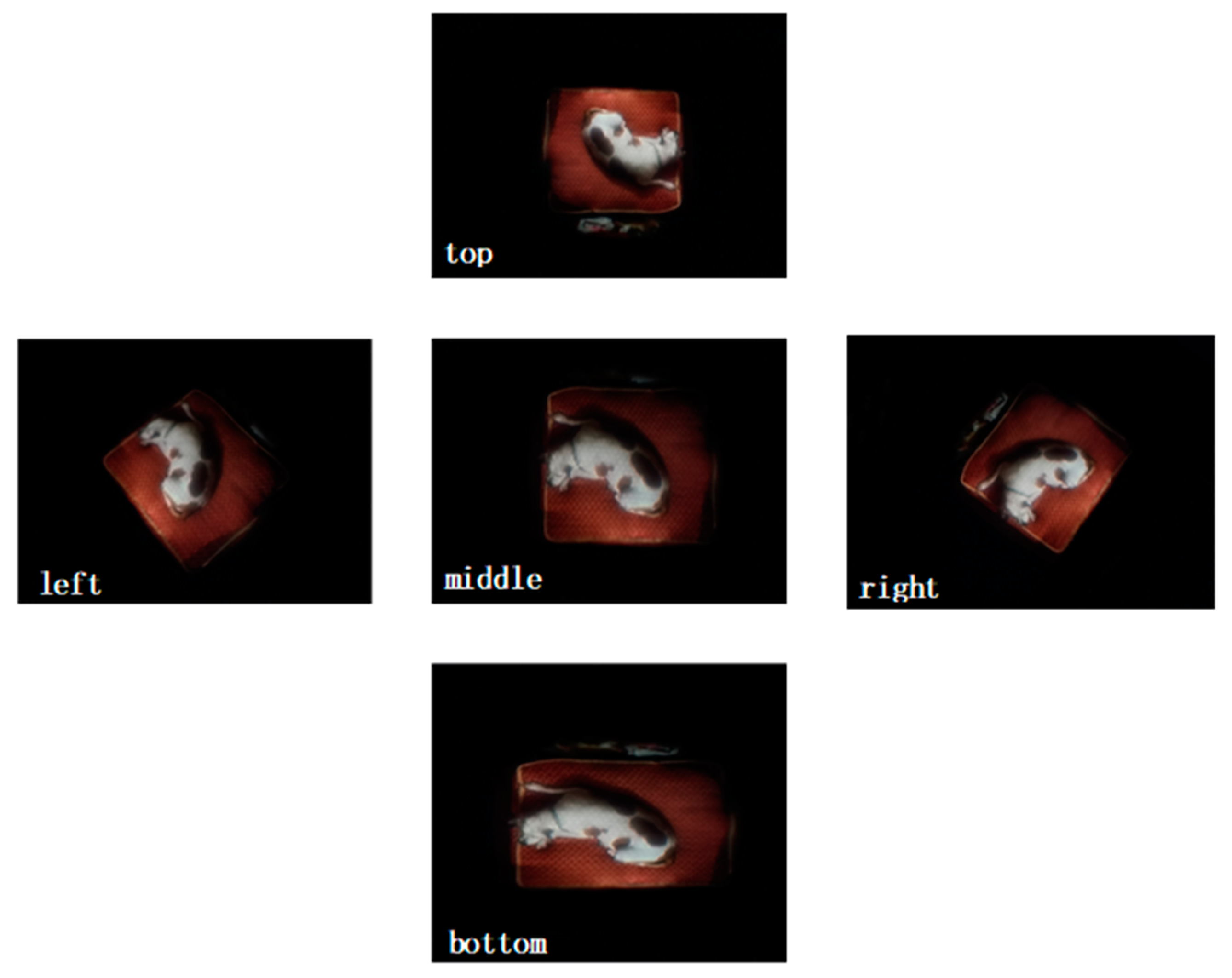 Symmetry 14 00595 g006