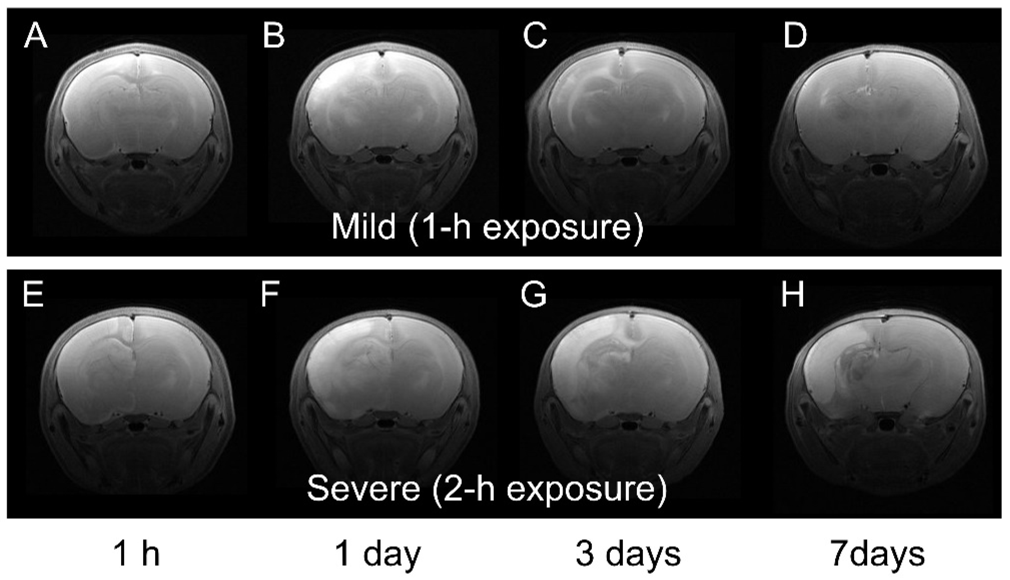 Symmetry 14 00596 g001