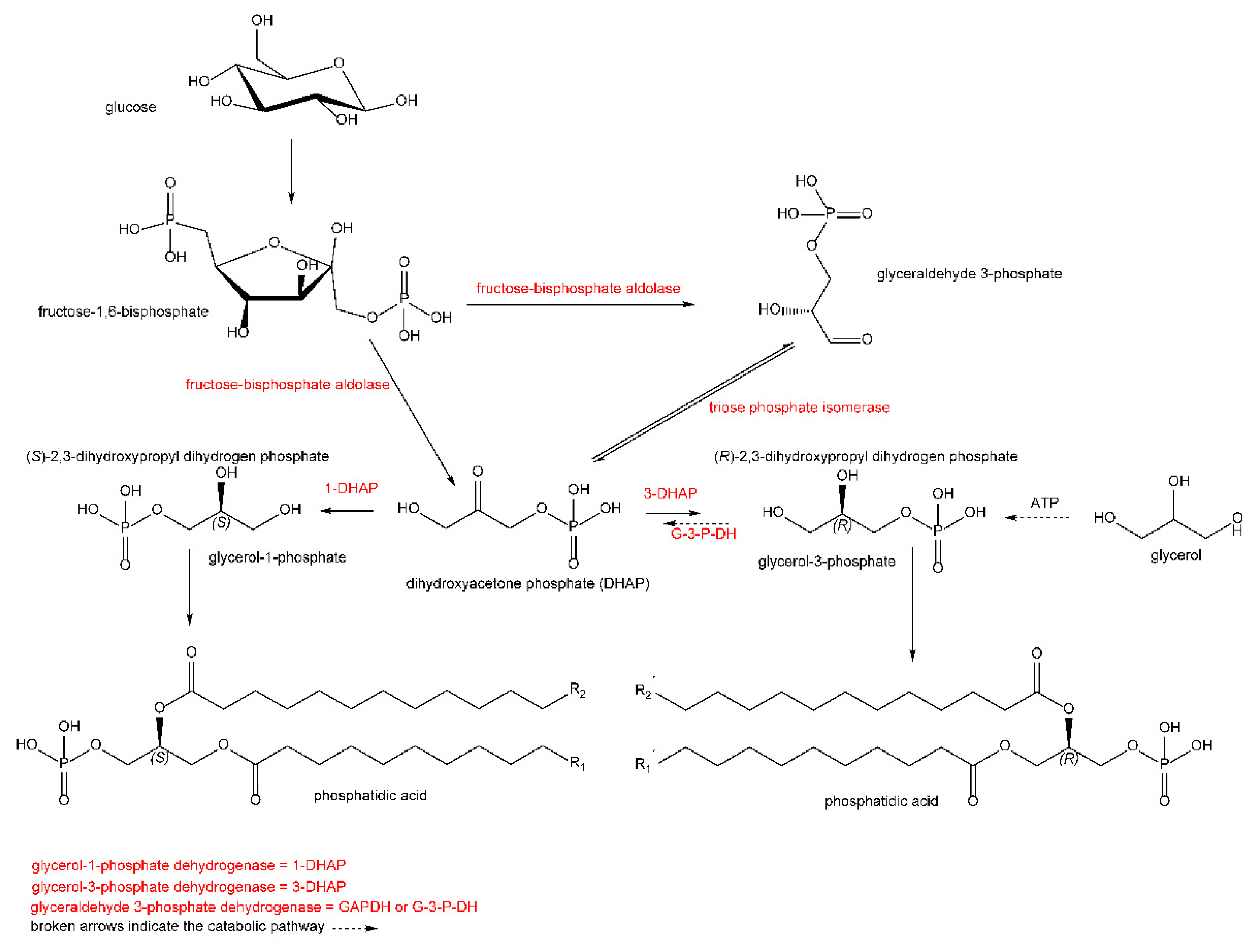 Symmetry 14 00616 g001