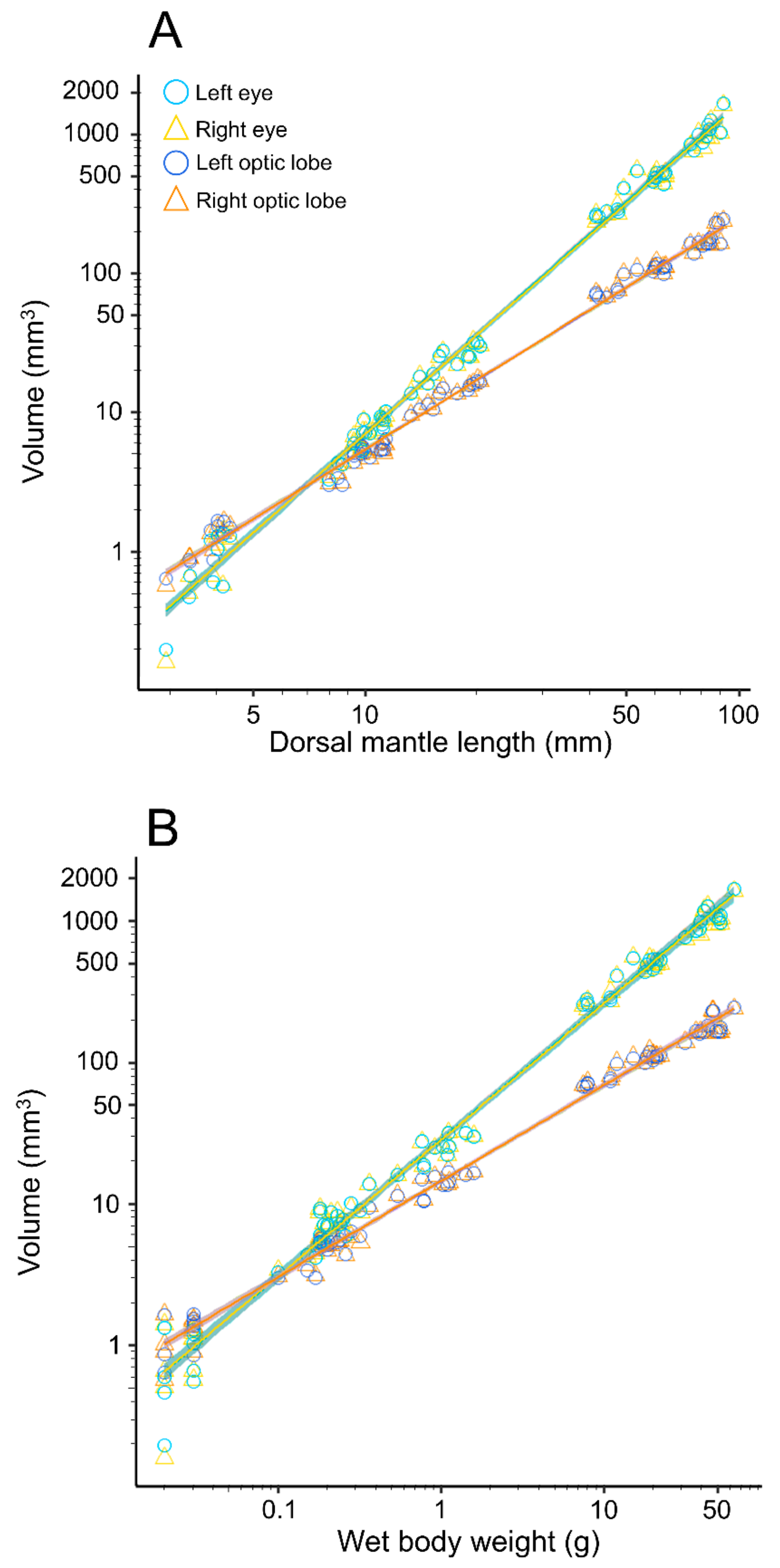 Symmetry 14 00644 g004