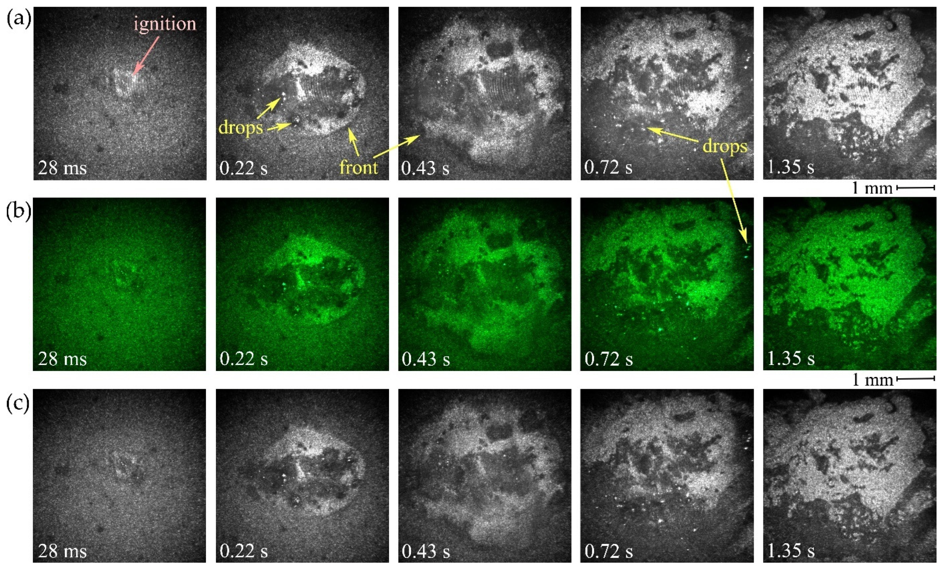 Symmetry 14 00656 g007