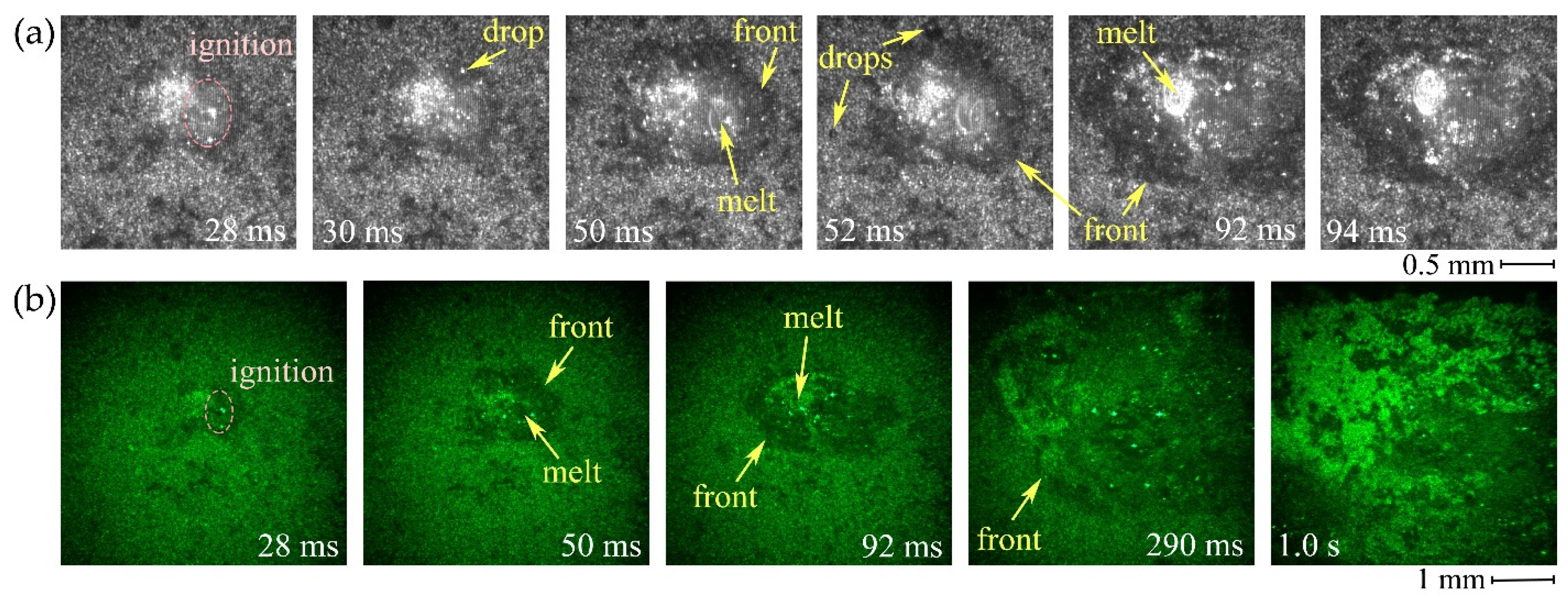 Symmetry 14 00656 g009