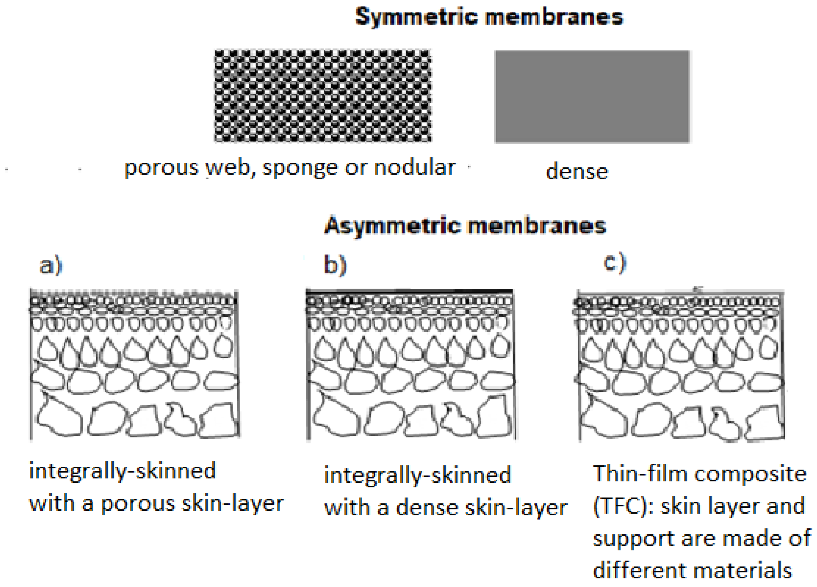 Symmetry 14 00681 g001