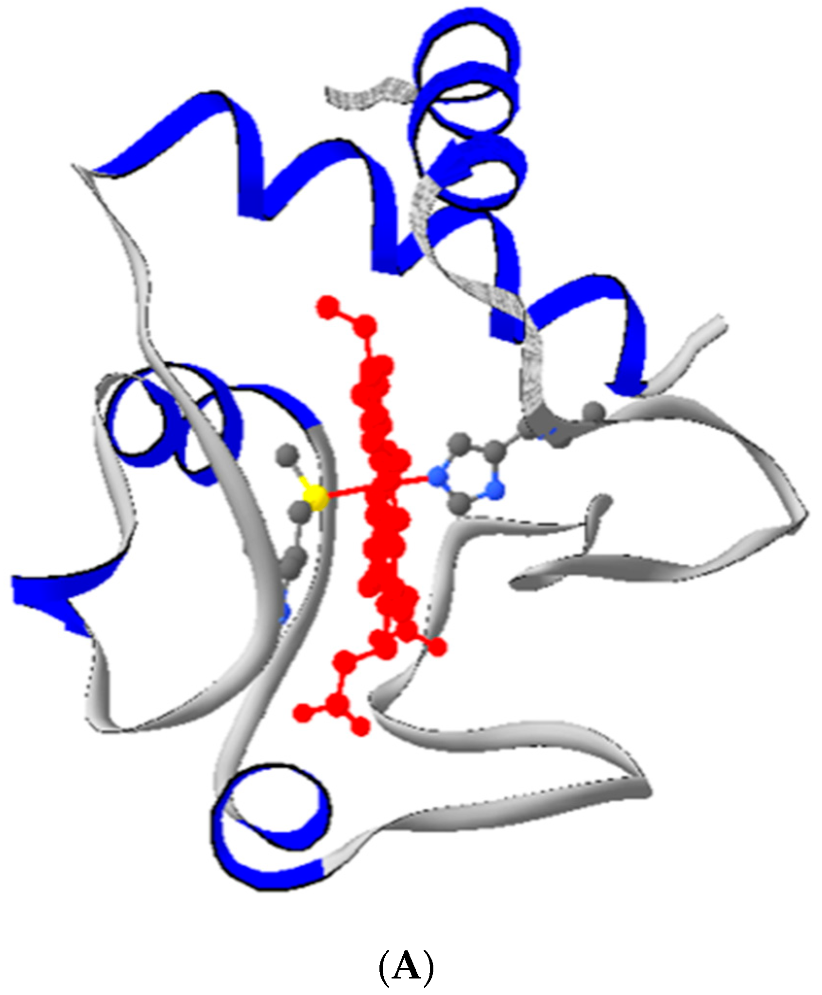 Symmetry 14 00767 g001a