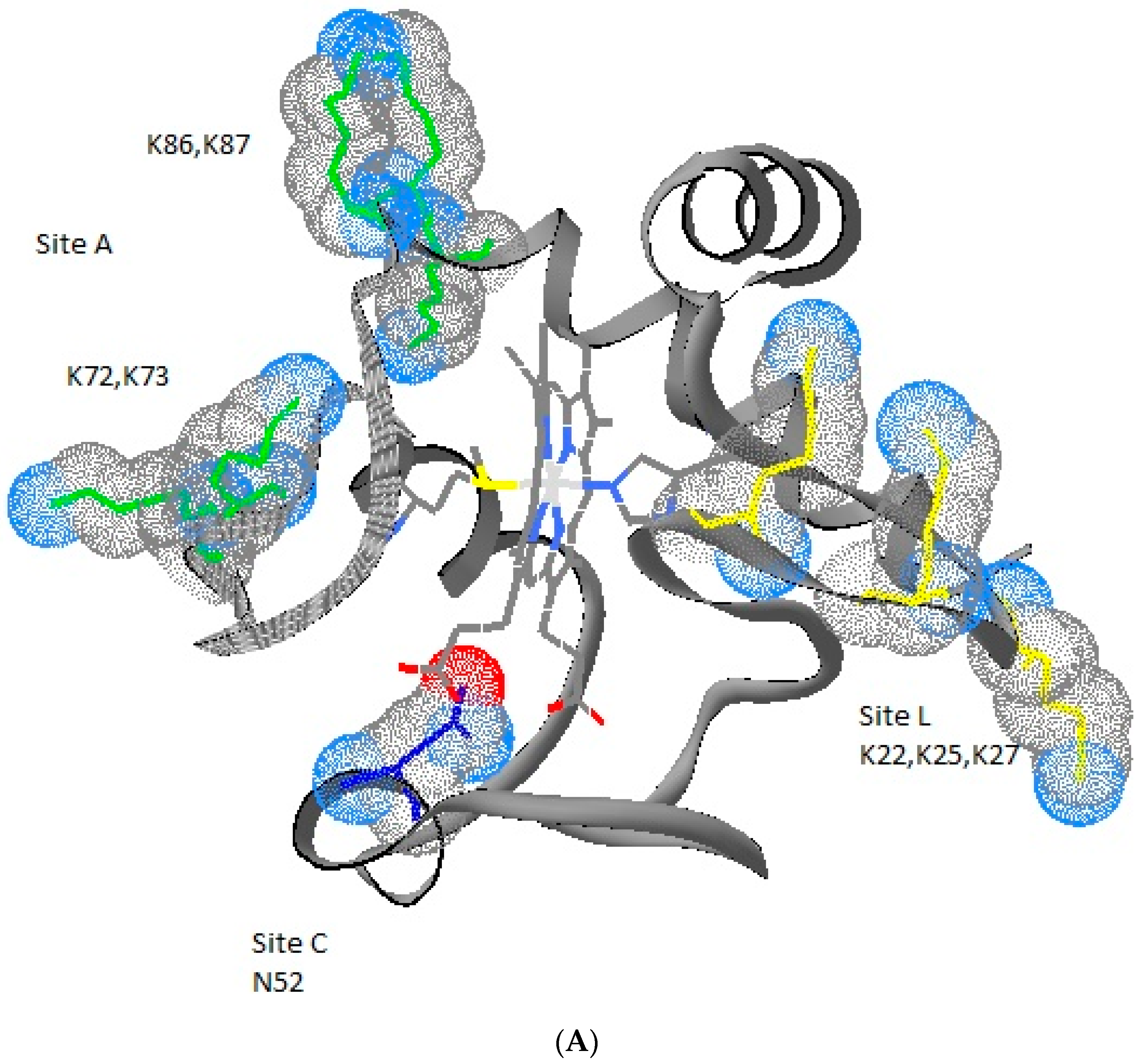 Symmetry 14 00767 g002a