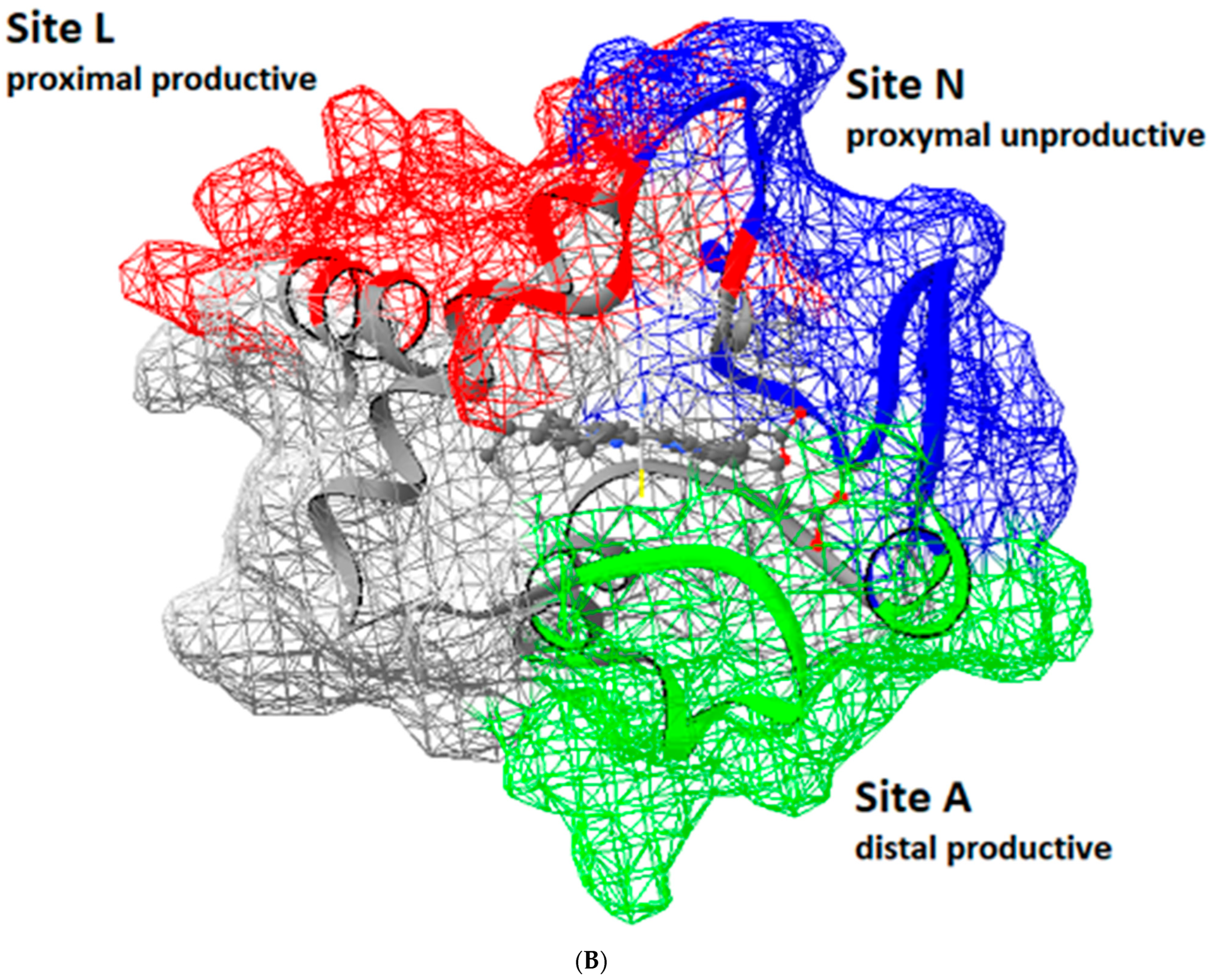 Symmetry 14 00767 g002b