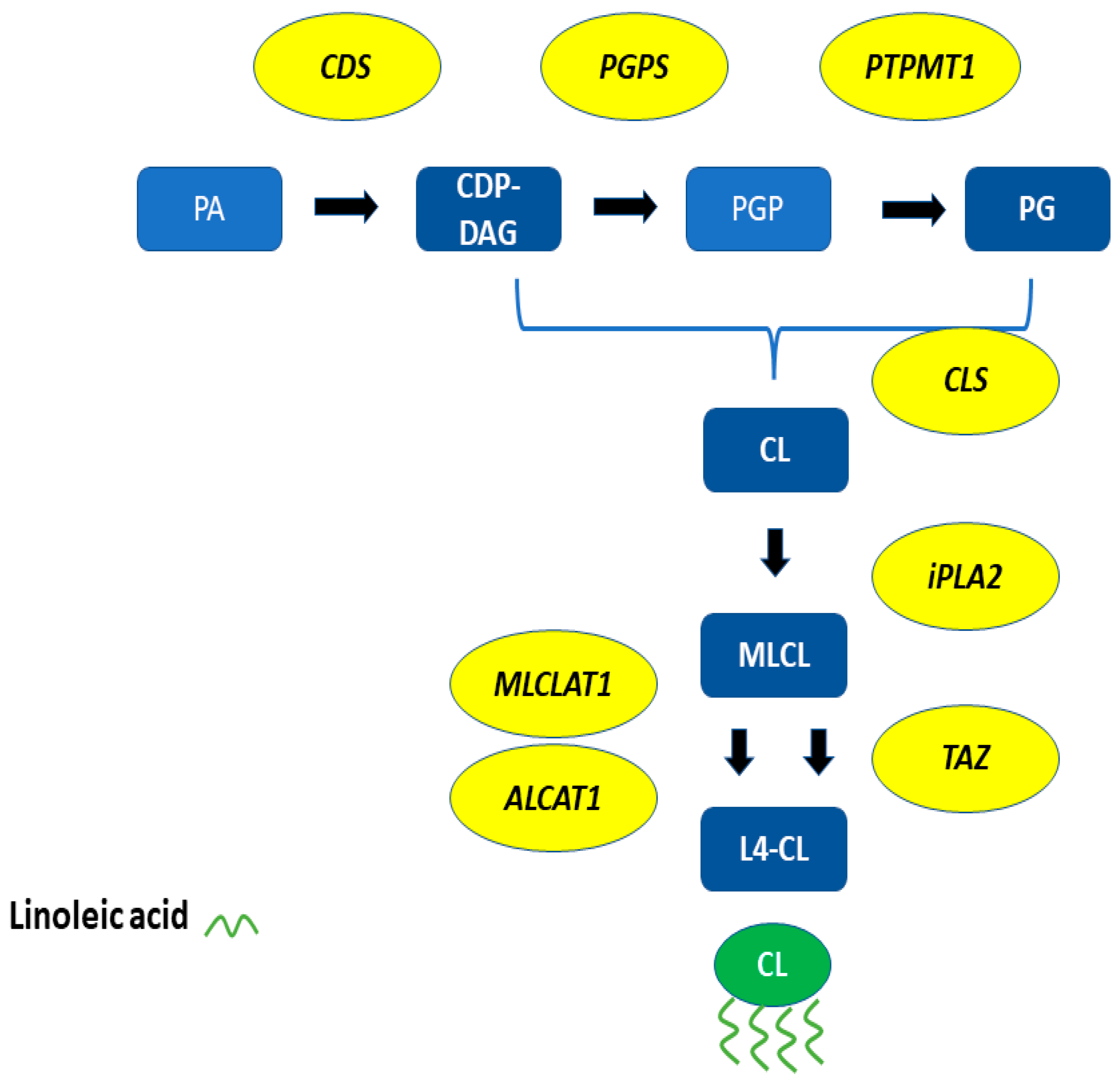 Symmetry 14 00767 g004