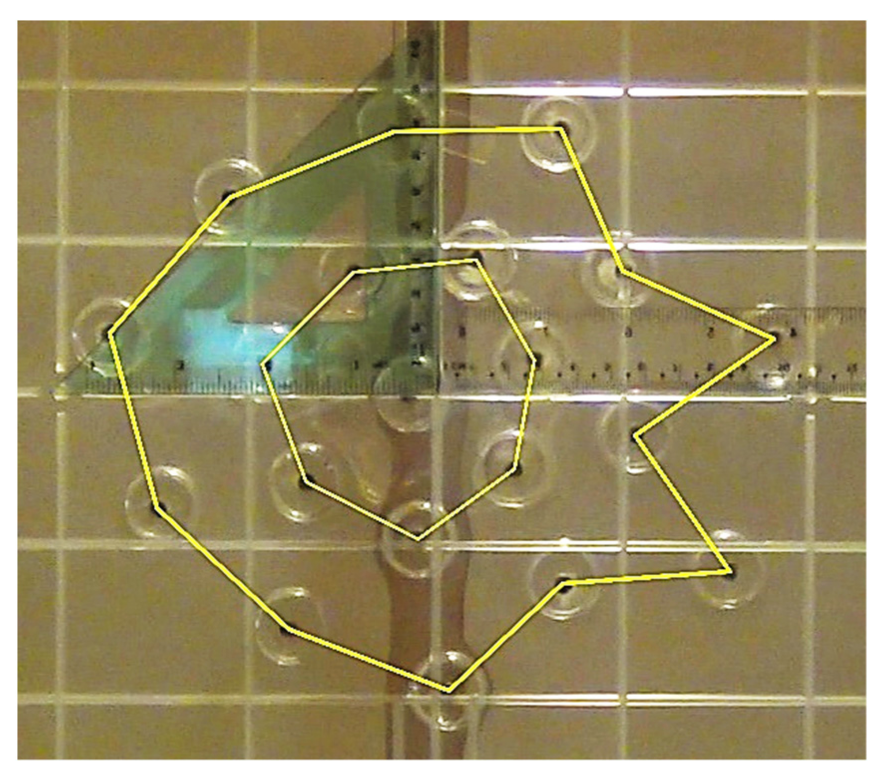 Symmetry 14 00795 g003