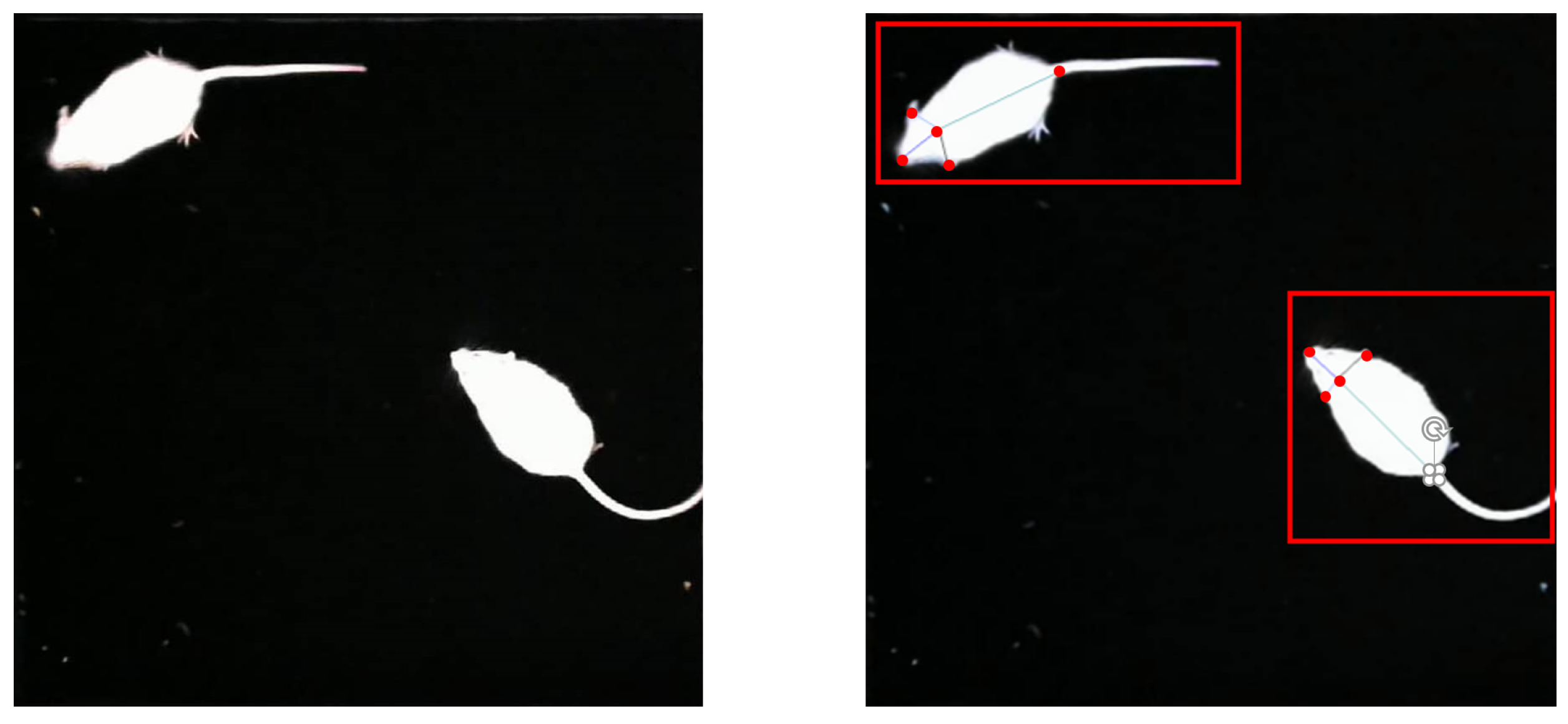 Symmetry 14 00875 g003