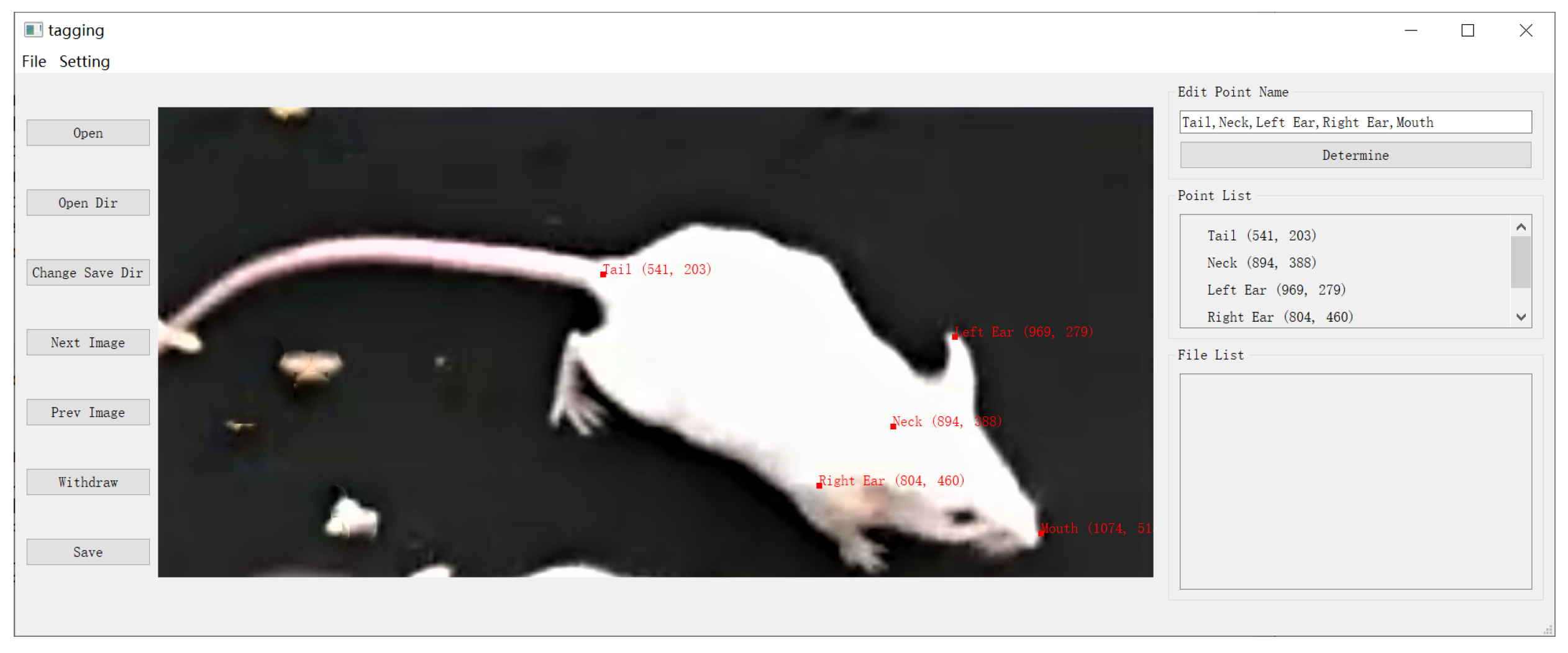 Symmetry 14 00875 g004