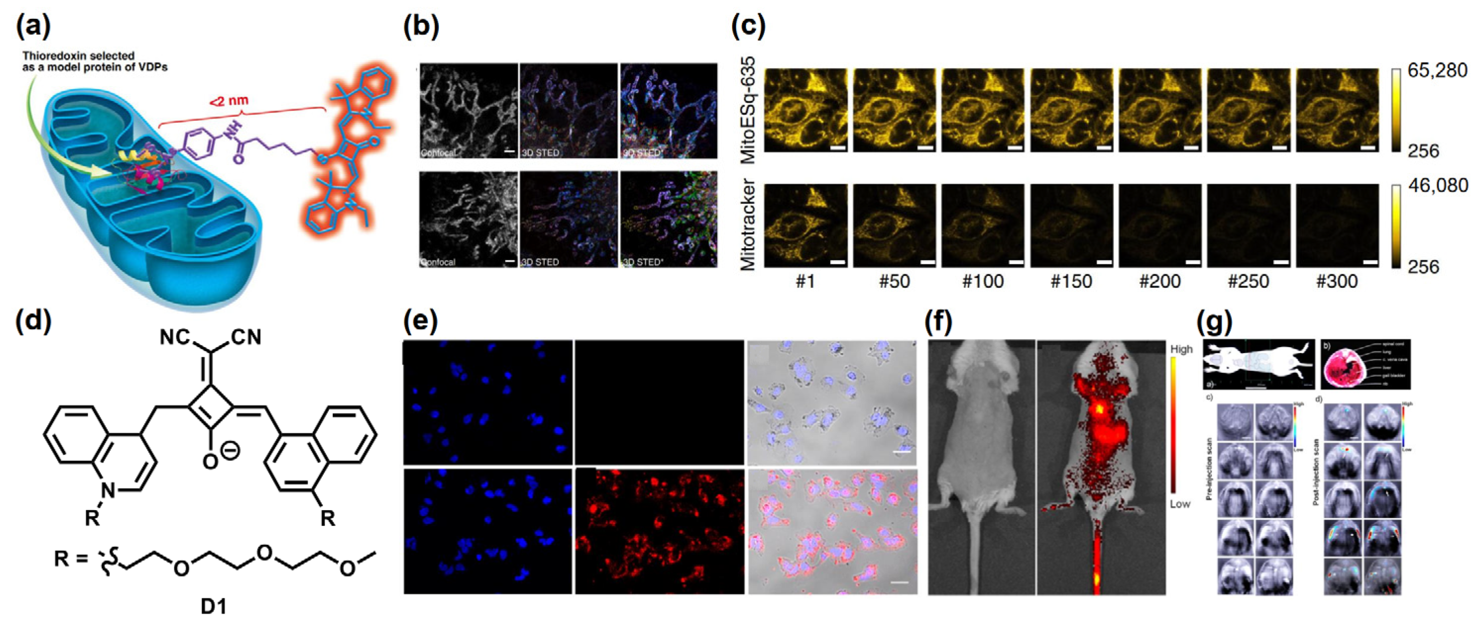 Symmetry 14 00966 g010