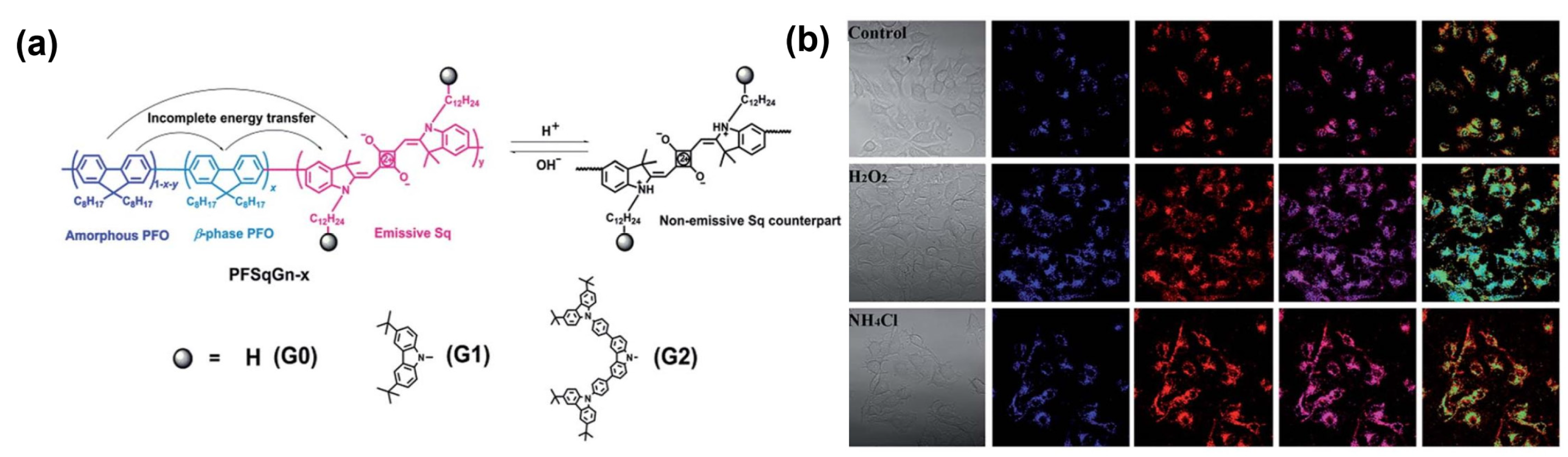 Symmetry 14 00966 g012