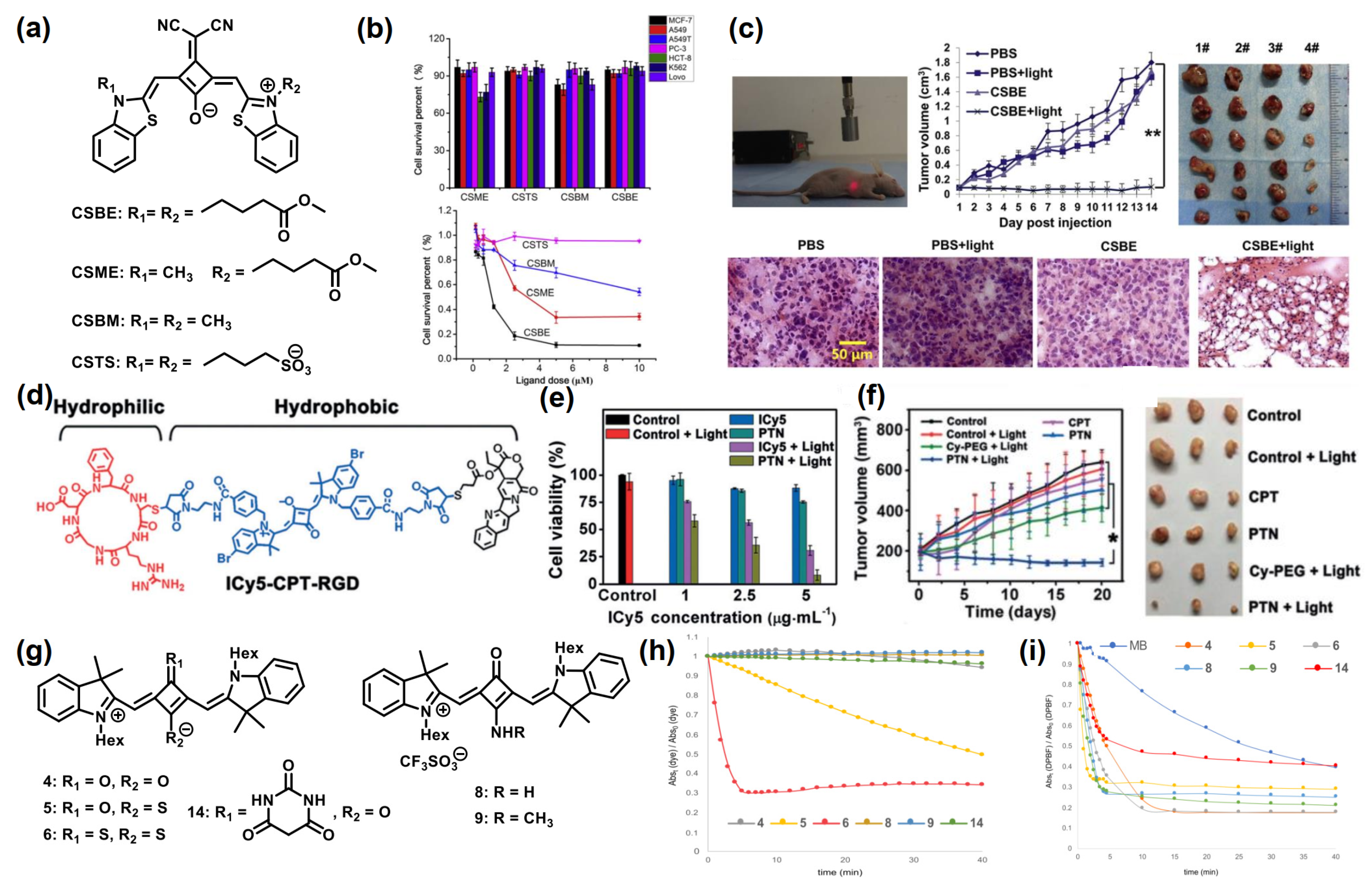 Symmetry 14 00966 g015