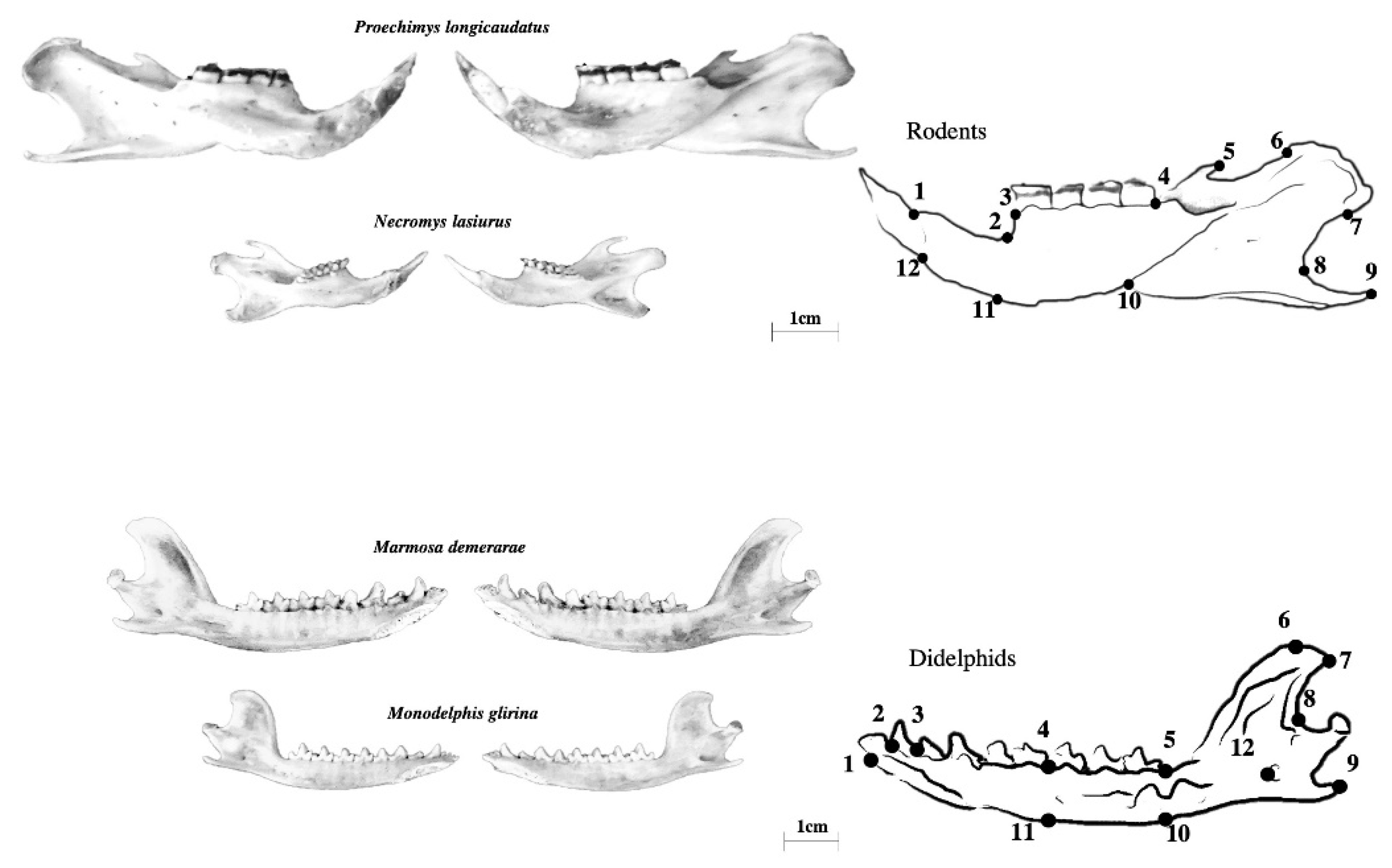 Symmetry 14 00981 g002