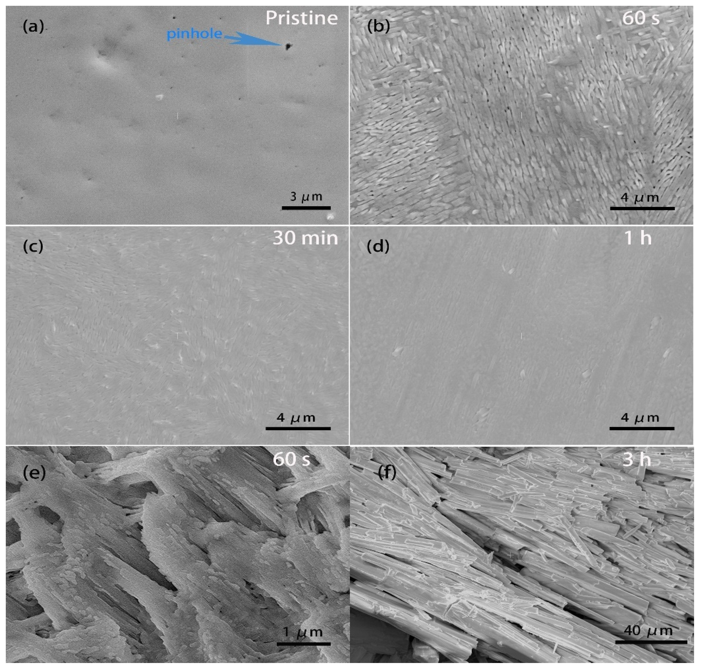 Symmetry 14 01099 g008