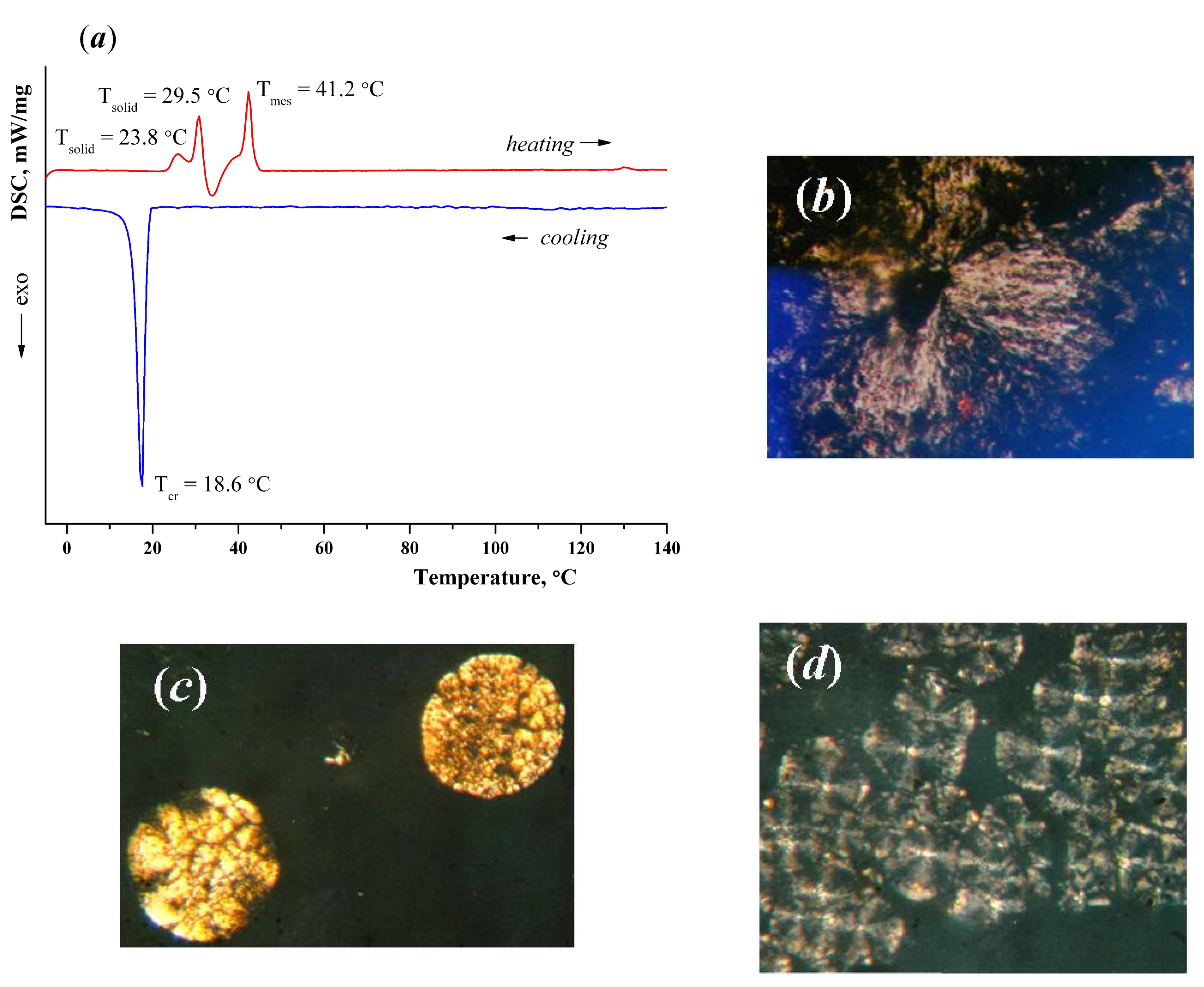 Symmetry 14 01140 g003