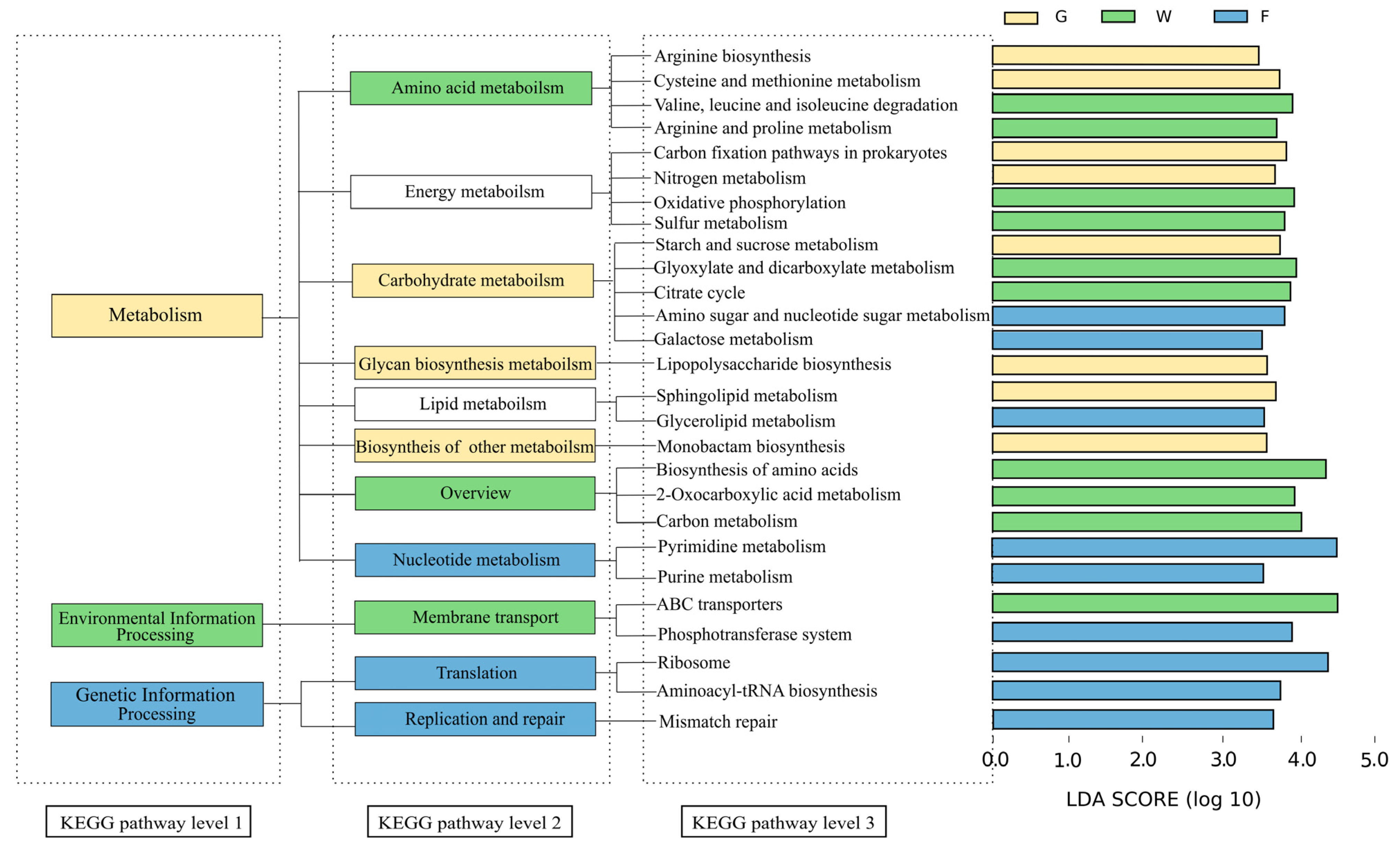 Symmetry 14 01199 g005