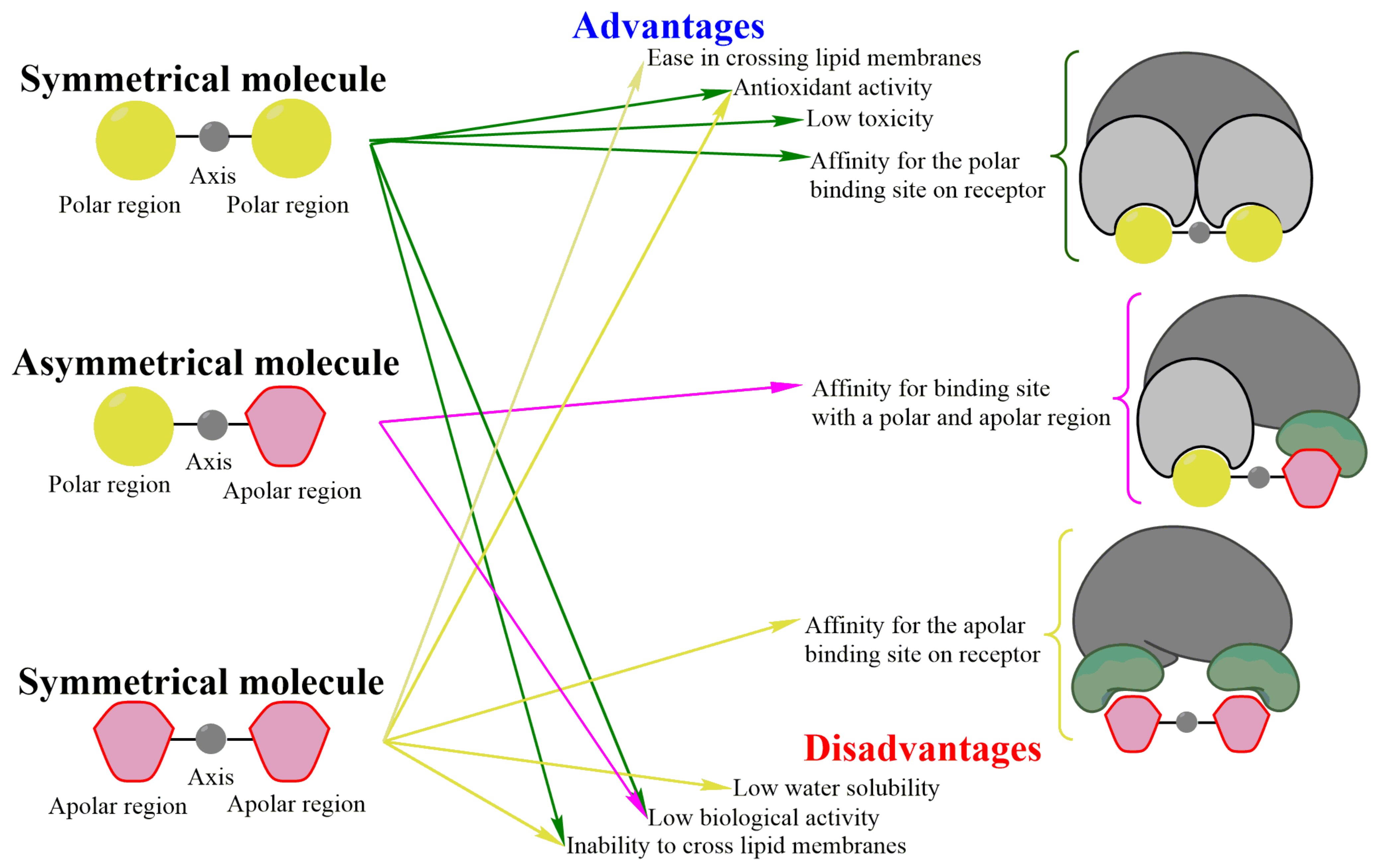 Symmetry 14 01240 g001 Symmetry 14 01240 g001