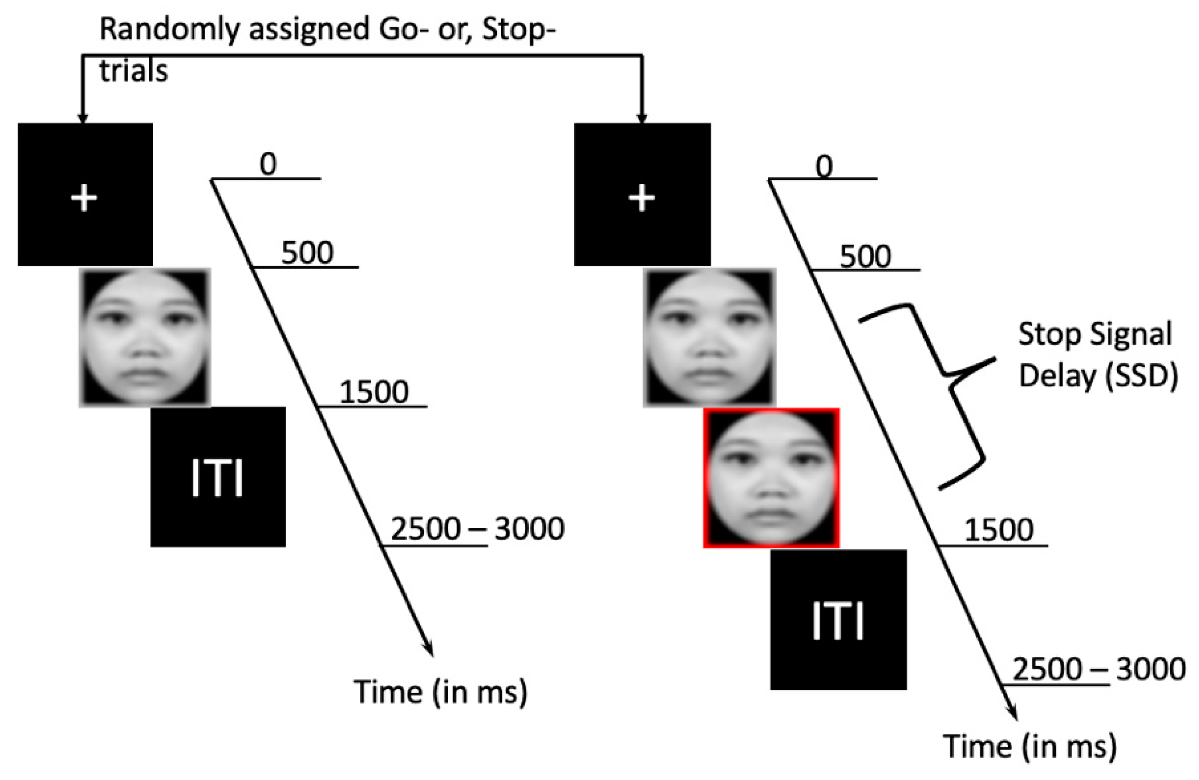Symmetry 14 01244 g001