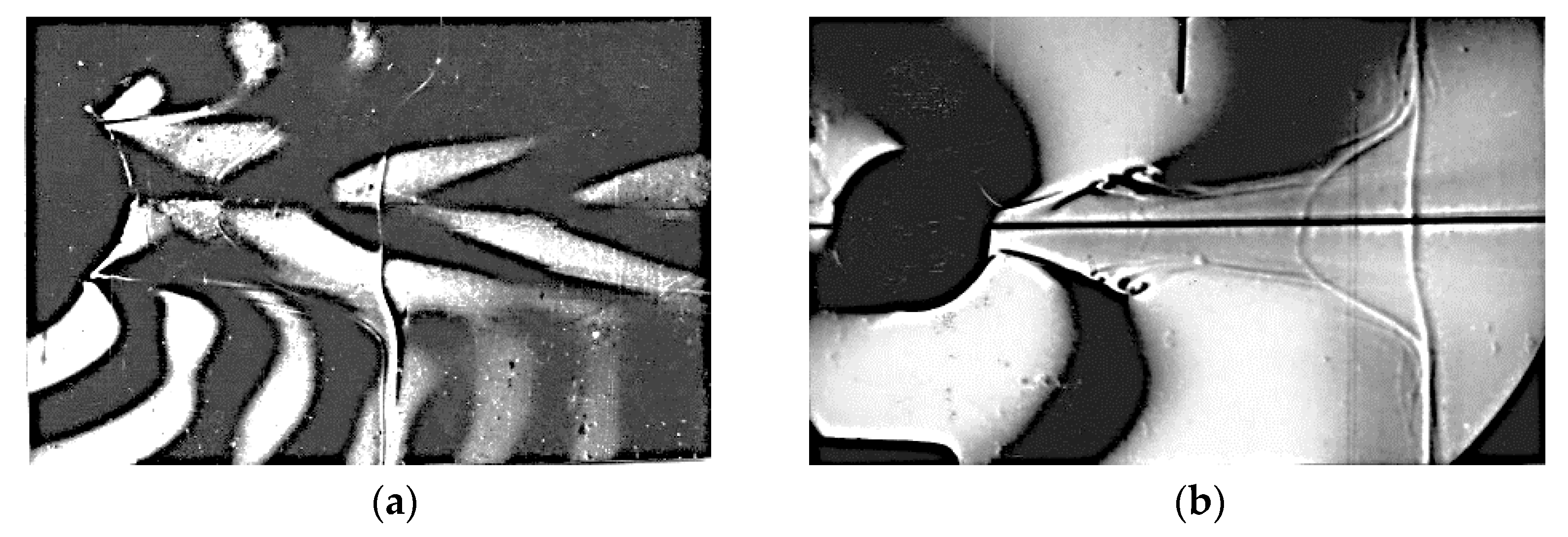 Symmetry 14 01278 g010