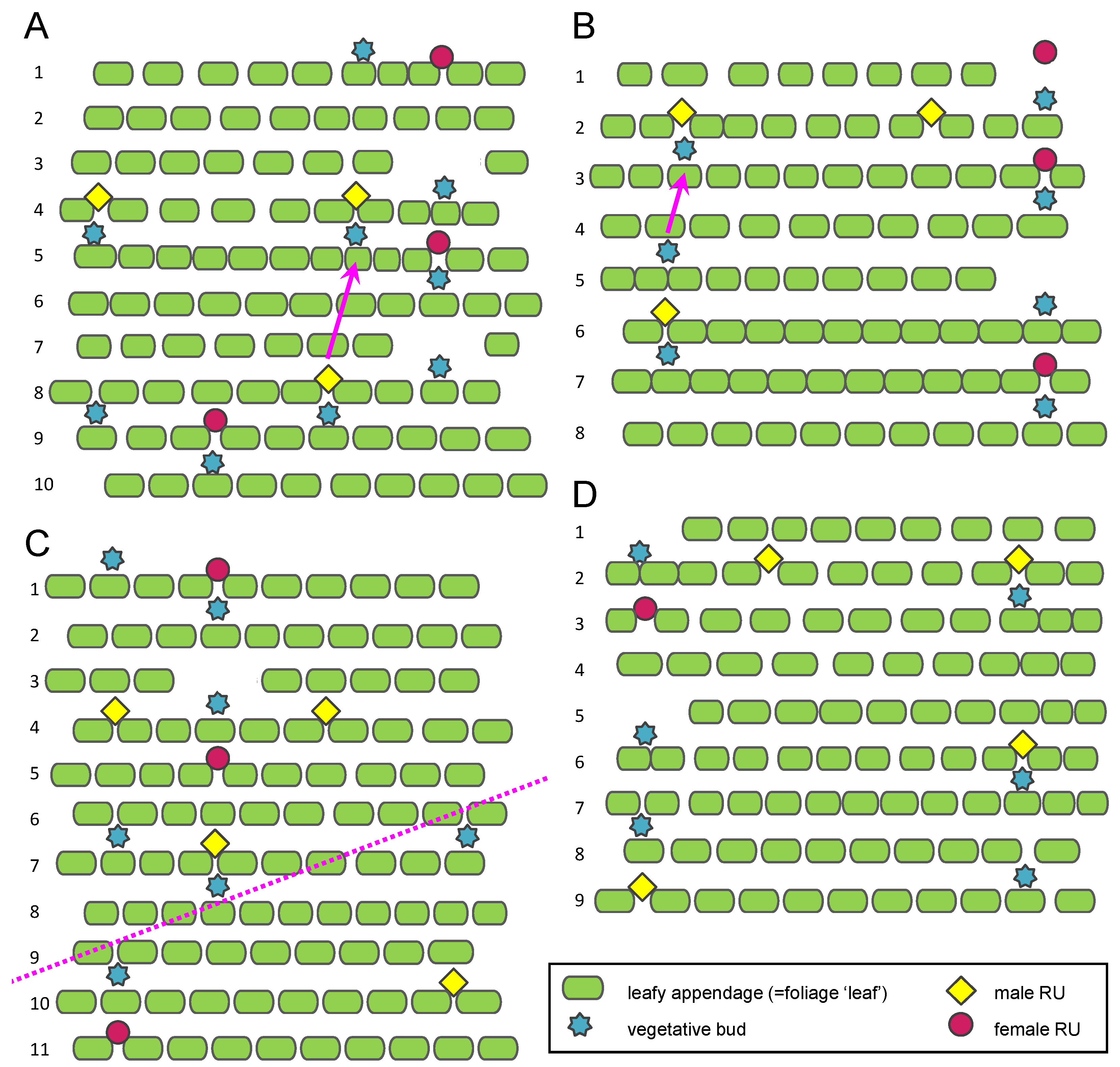 Symmetry 14 01288 g005