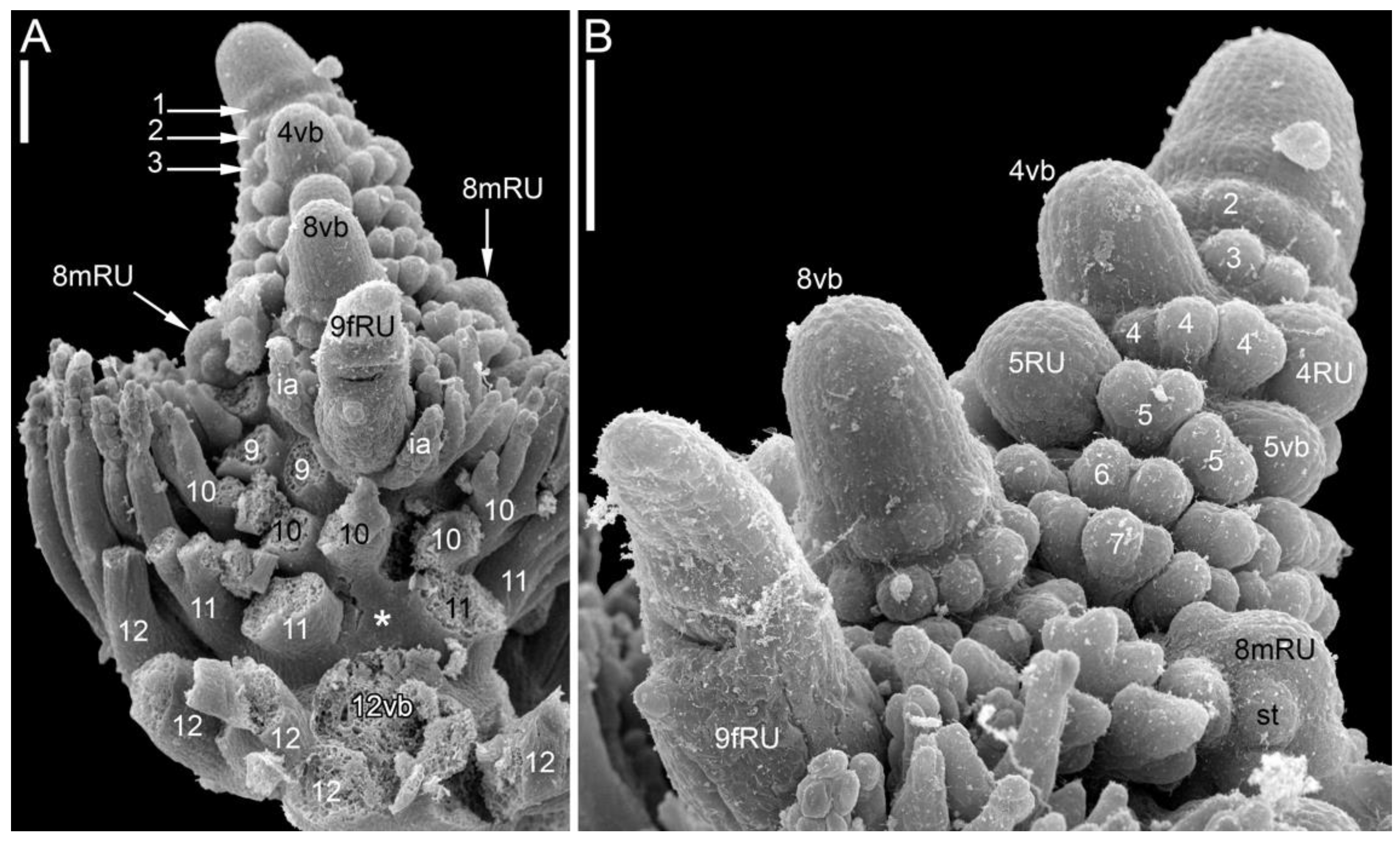 Symmetry 14 01288 g006